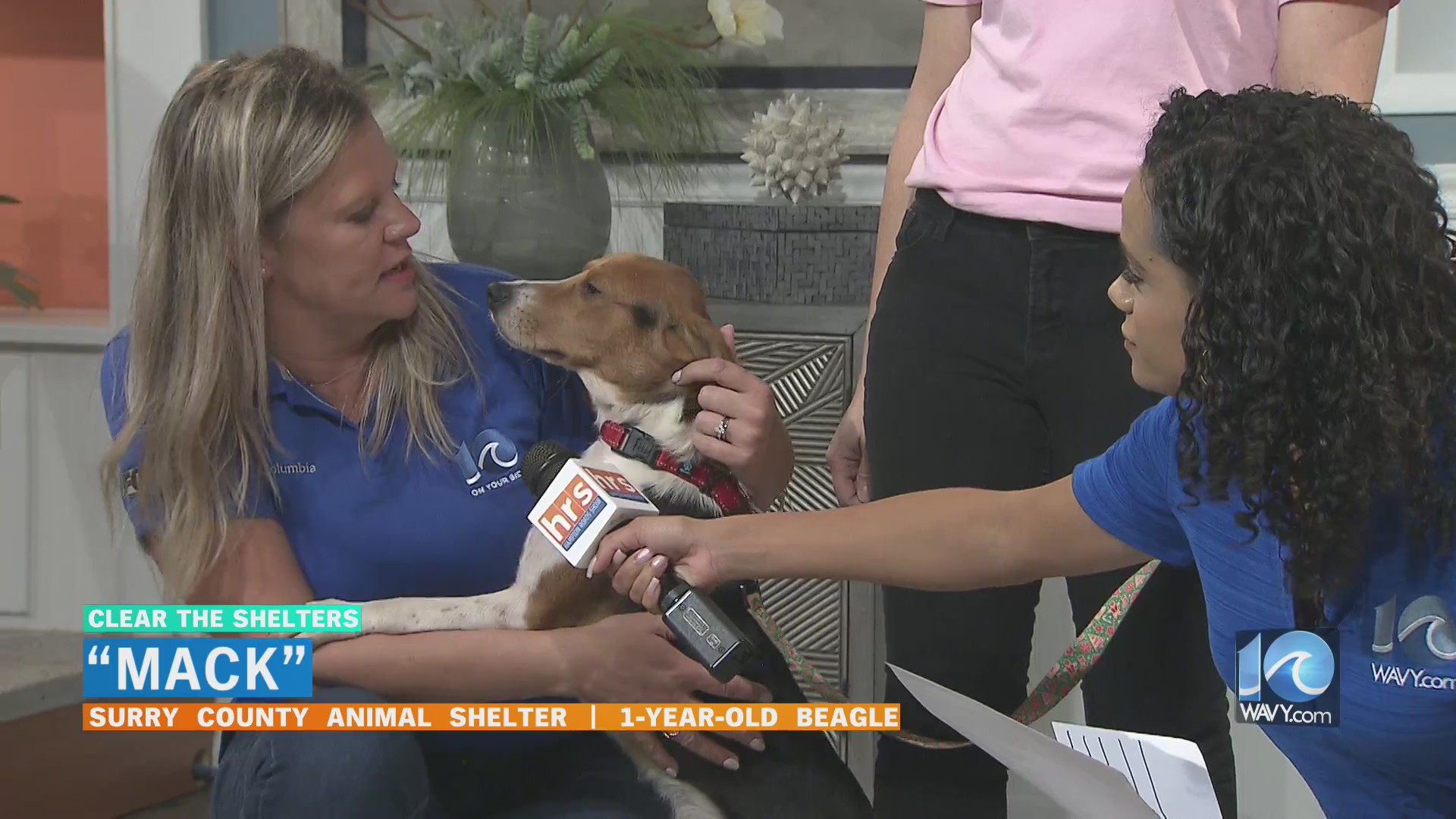 “Mack” Surry County Animal Shelter