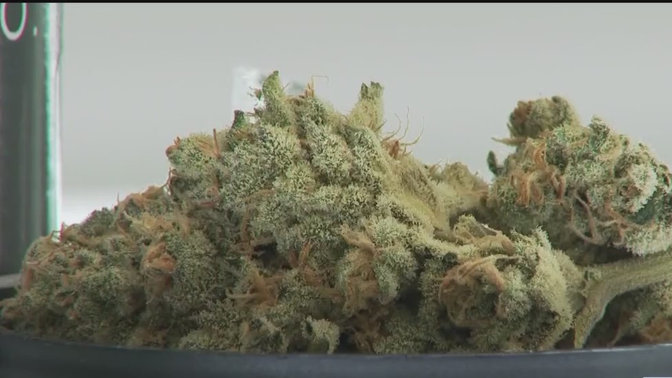 Legal marijuana dispensary opening in Queens PIX11