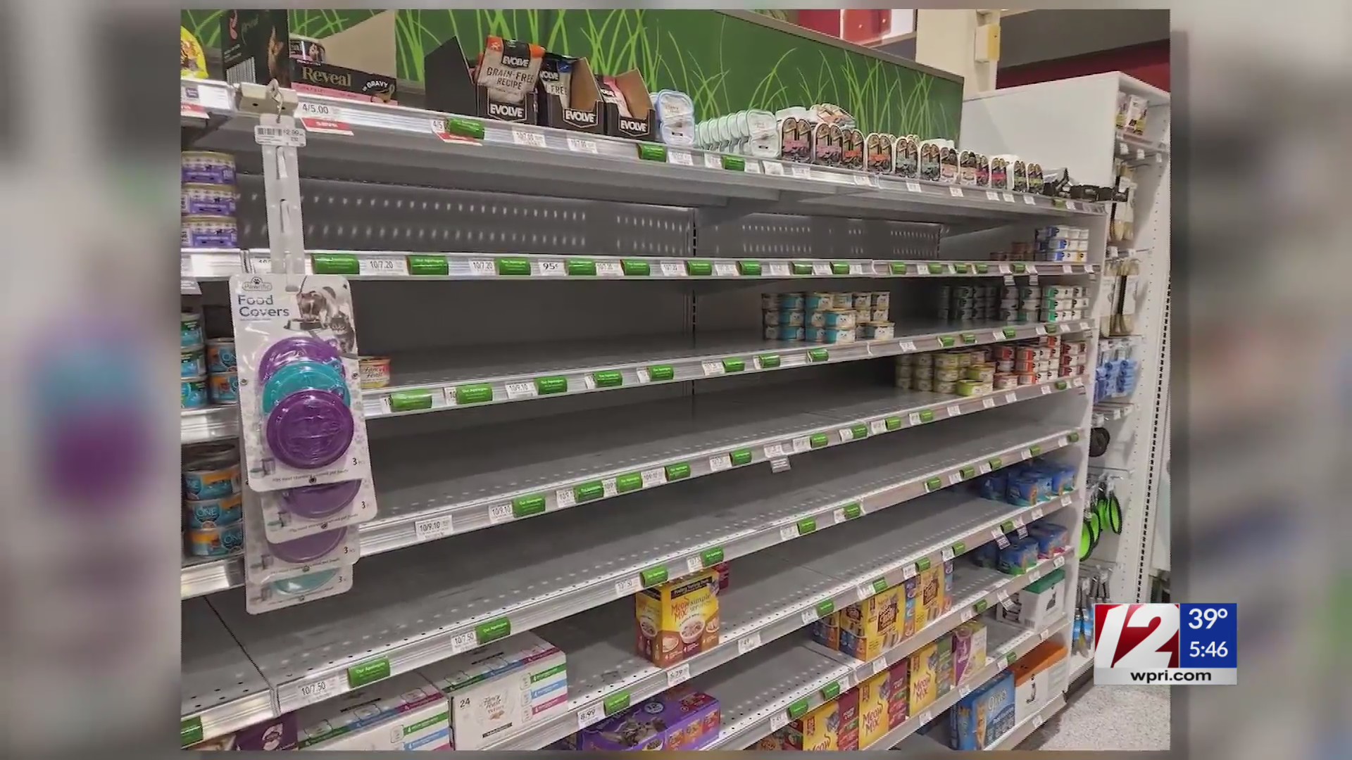 ‘Not completely COVID19’s fault’ Here’s why there’s a wet cat food