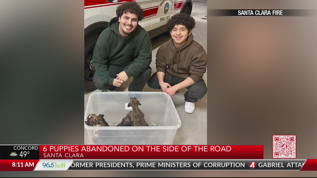 2 teens rescue 6 puppies abandoned on the side of the road in Santa ...
