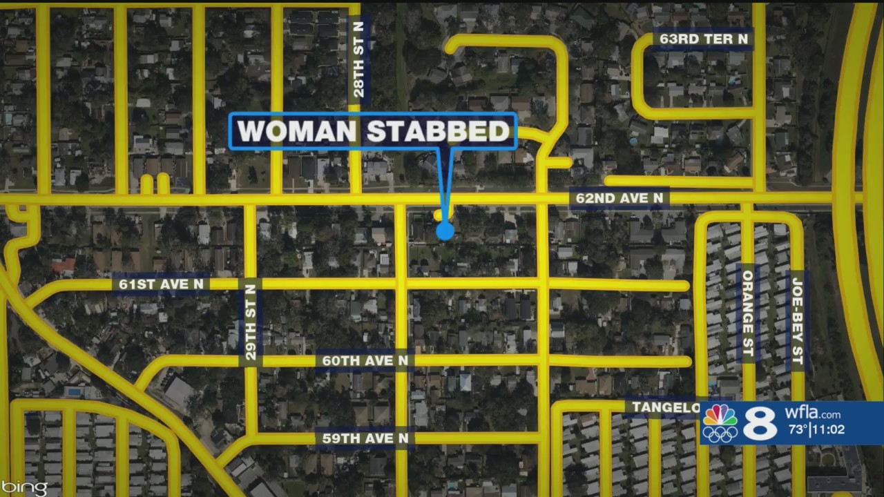 St. Pete man allegedly stabbed woman to death, told 911 it was self ...