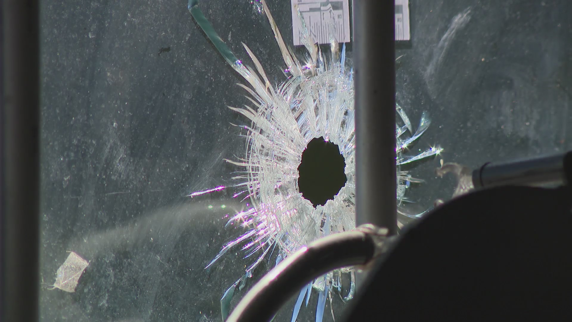 Store worker, customers react to Pauls IGA shooting in downtown Augusta WJBF