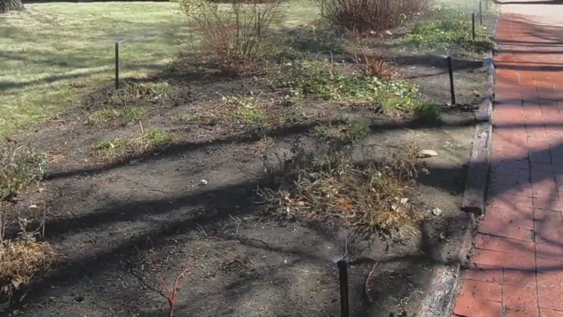 Should you turn your sprinklers on? FOX31 Denver