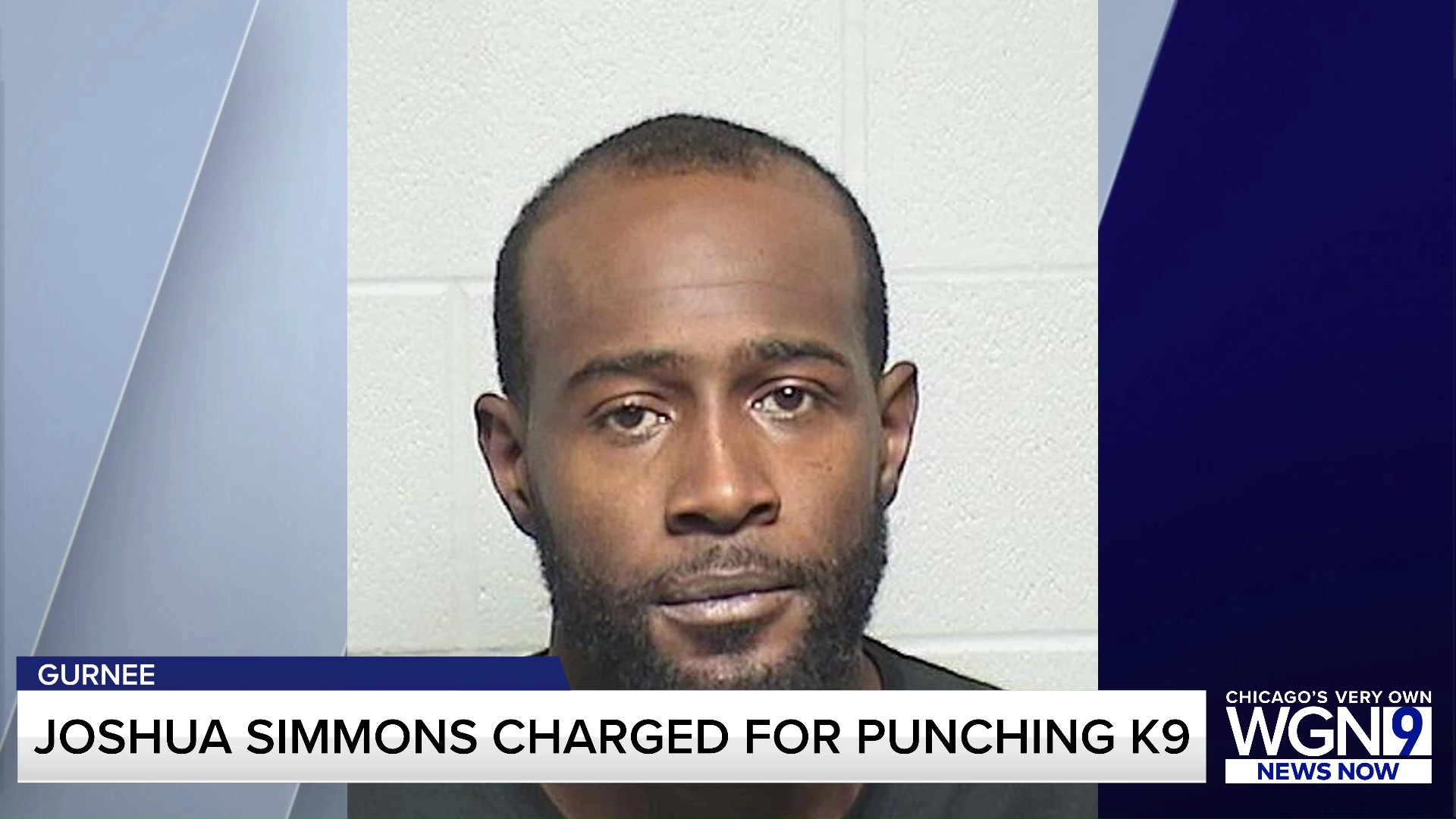 Suburban home invasion suspect allegedly punched K9 before being bitten ...