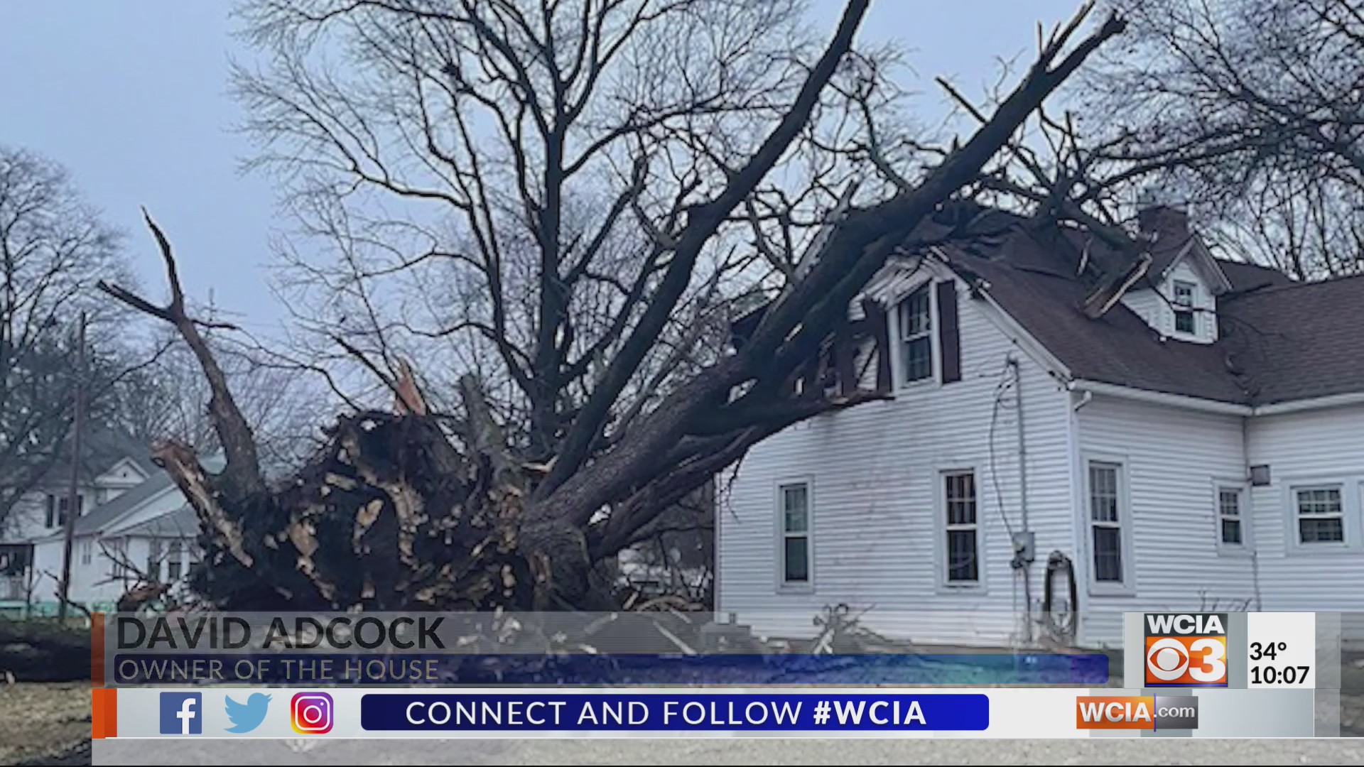 Historic Lincoln Tree topples in Virden, damaging Civil War Era home ...