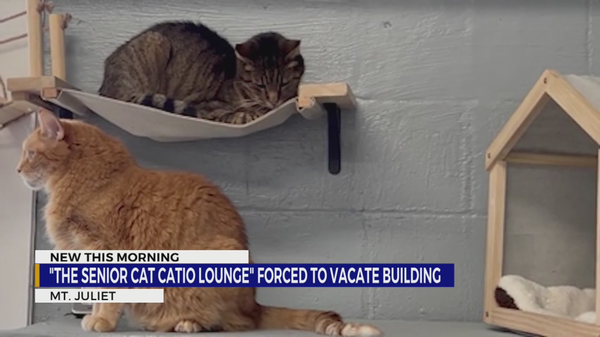 Senior Catio Lounge forced to vacate building – WKRN News 2