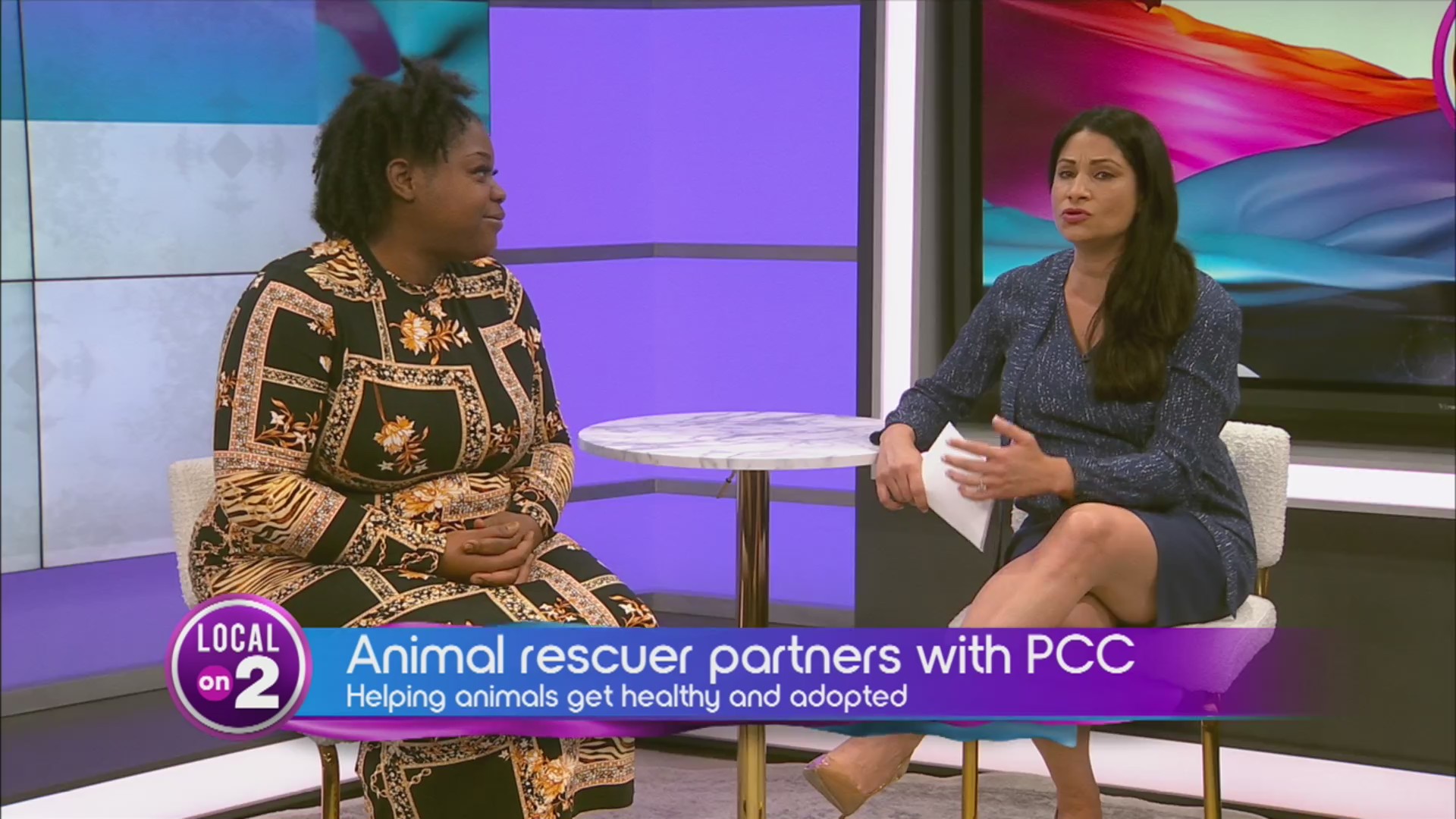 Local cat rescuer praises PCC – WKRN News 2