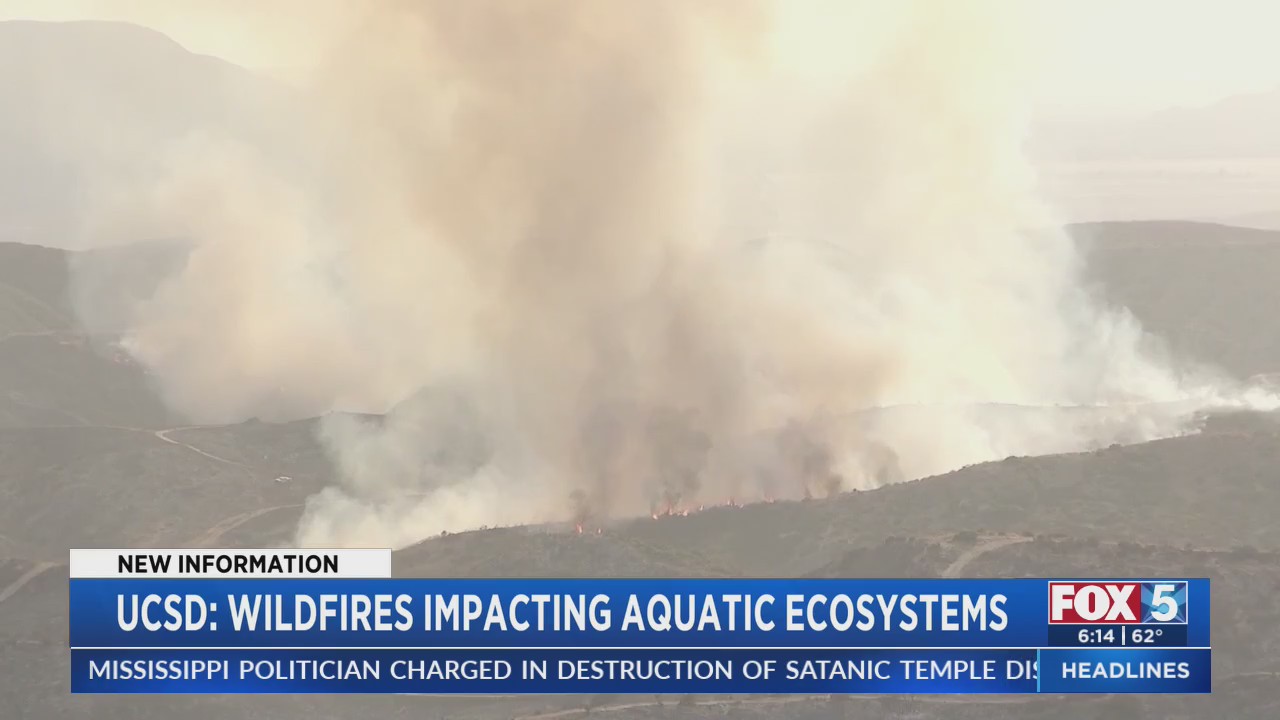 Wildfires Impacting Aquatic Ecosystems – FOX 5 San Diego & KUSI News