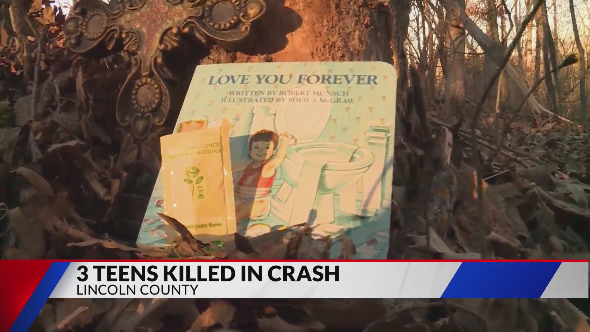 3 teens dead, 2 injured in rollover crash in Lincoln County – FOX 2