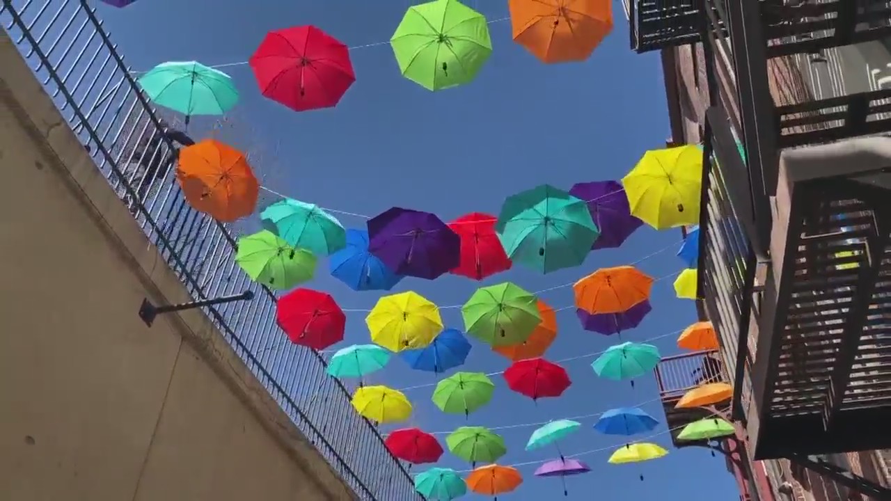 Unique umbrella art lines Bogart Court in Scranton