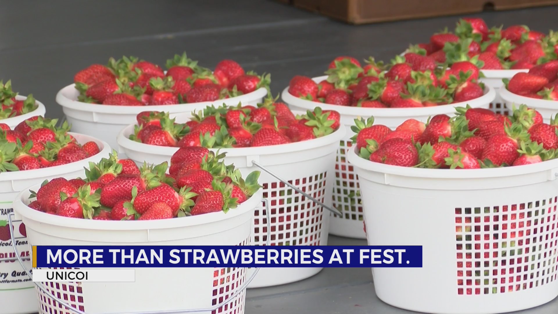 Wayne Scott Strawberry Festival kicks off in Unicoi WJHL TriCities