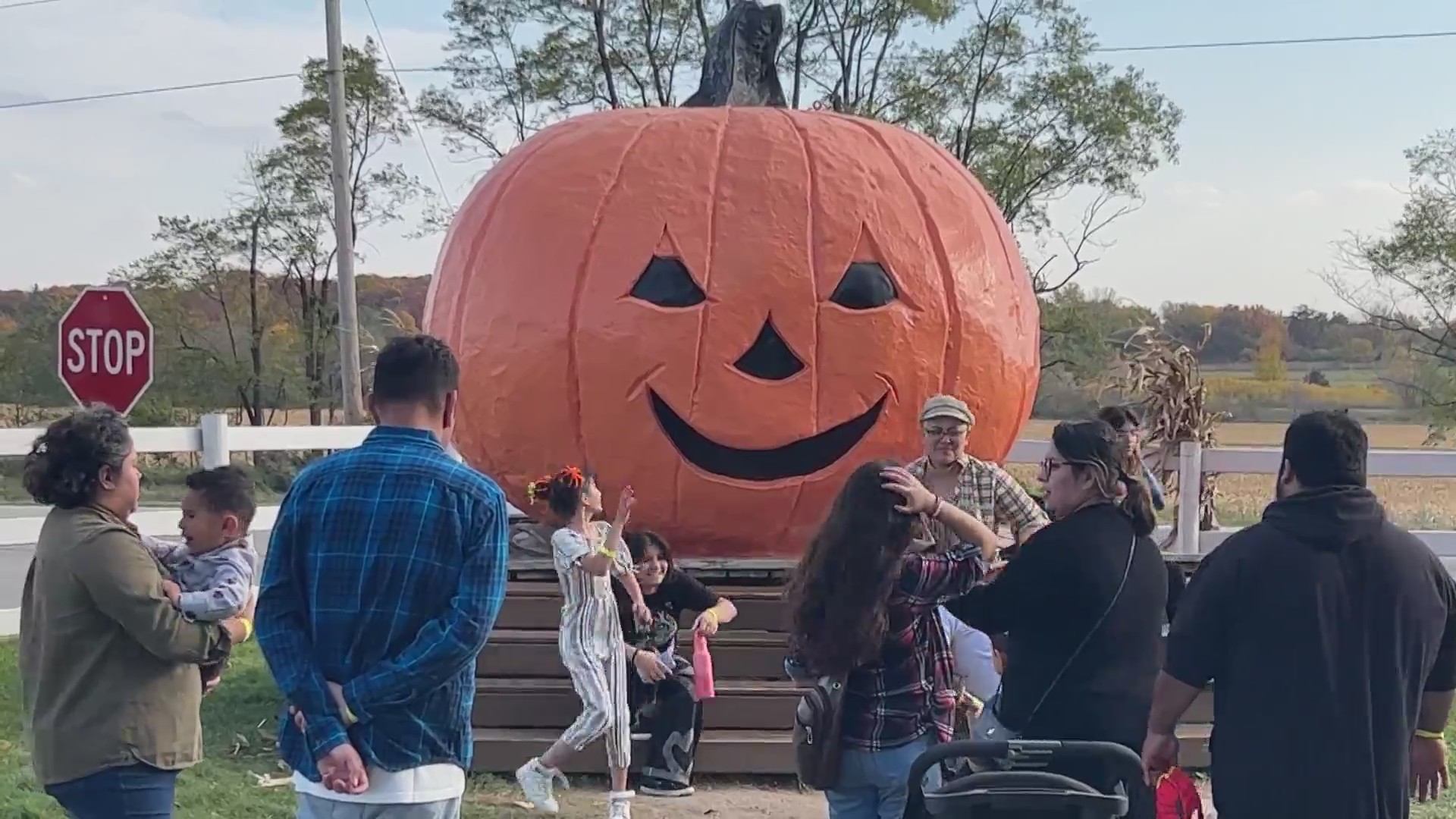 Rockfordarea pumpkin prices slightly below national average