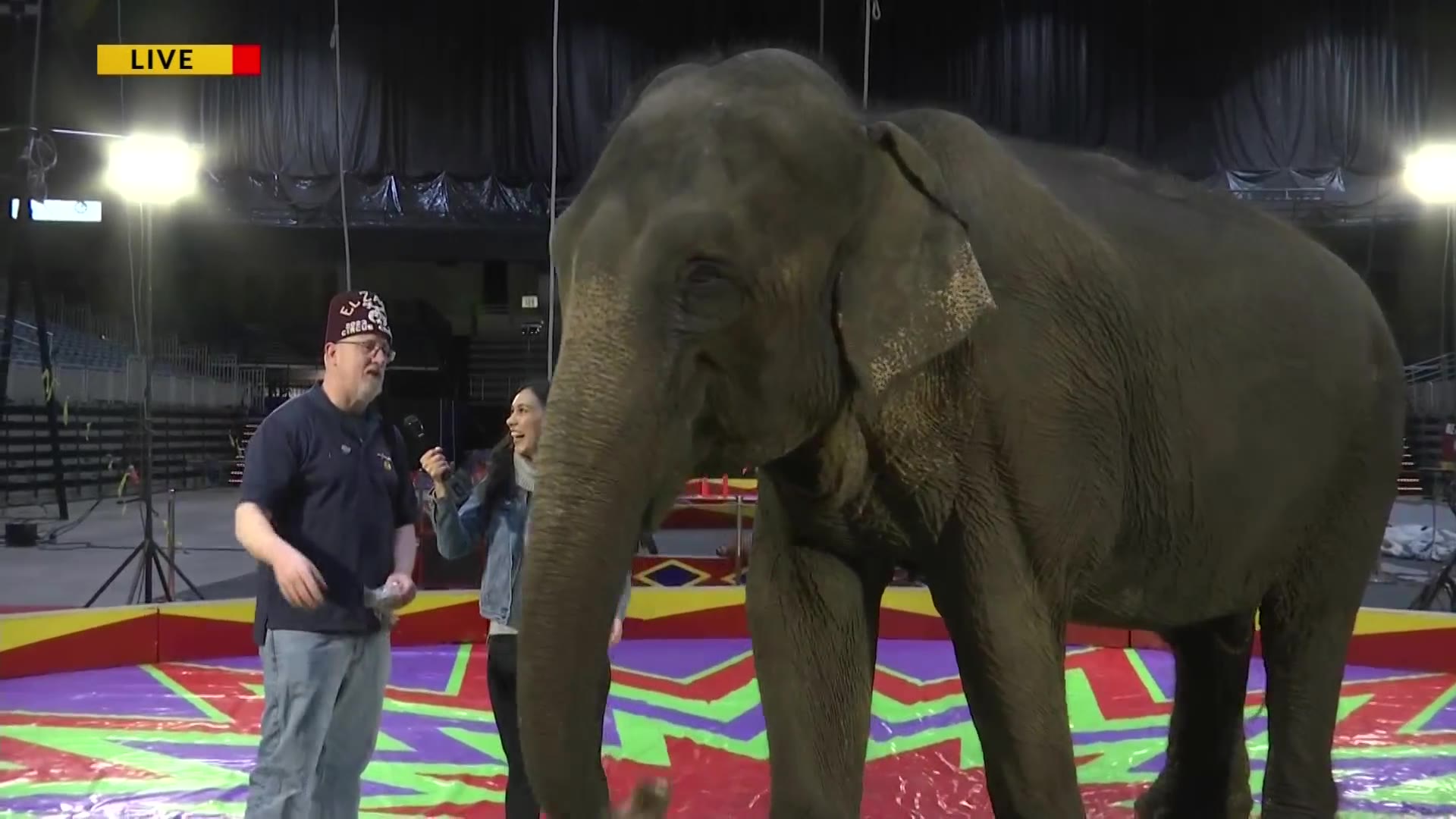 The Shrine Circus comes to the Bismarck Event Center – KX NEWS