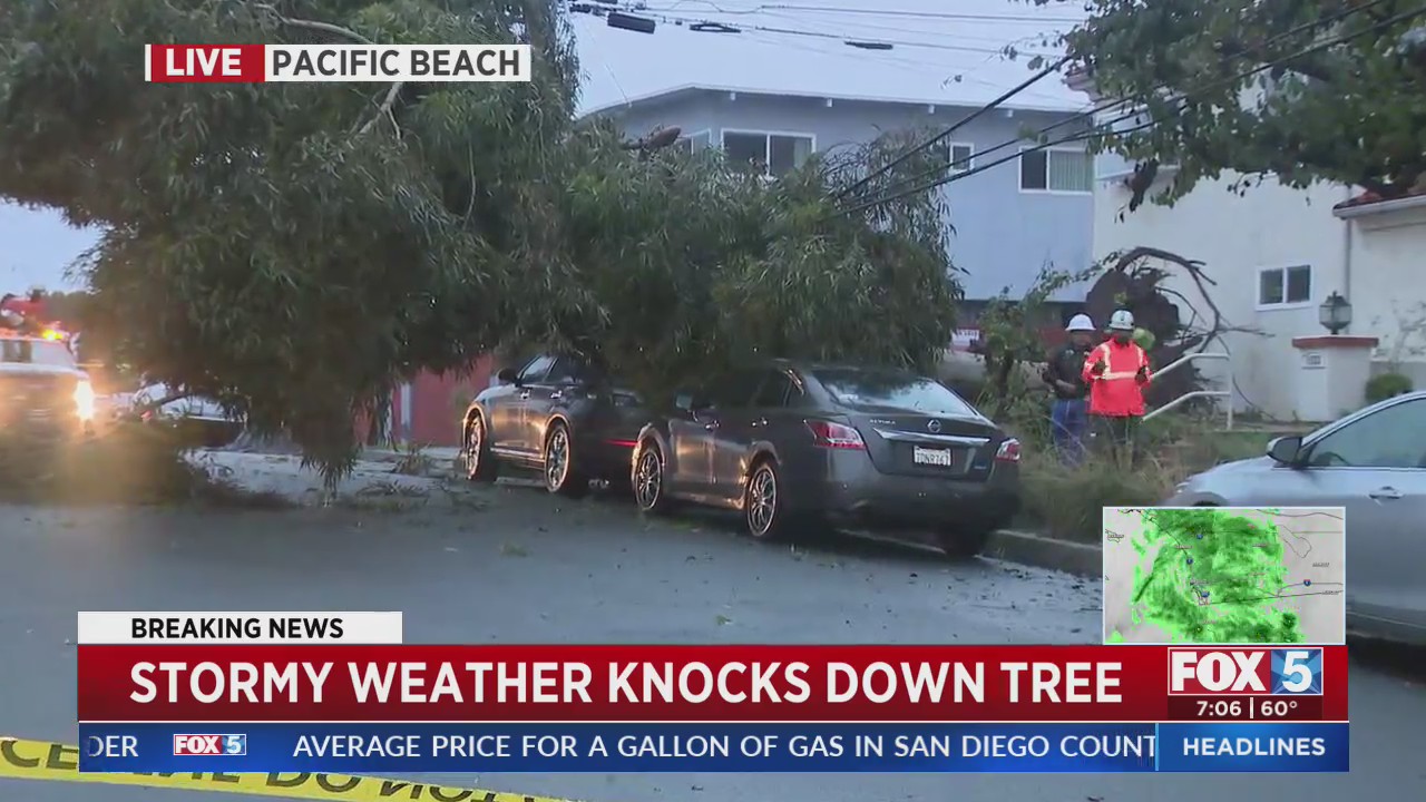 Stormy Weather Knocks Down Tree – FOX 5 San Diego & KUSI News