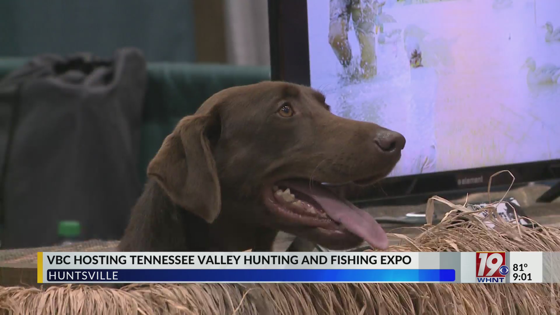 VBC Hosting Hunting and Fishing Expo July 7, 2023 News 19 at 9 p.m.