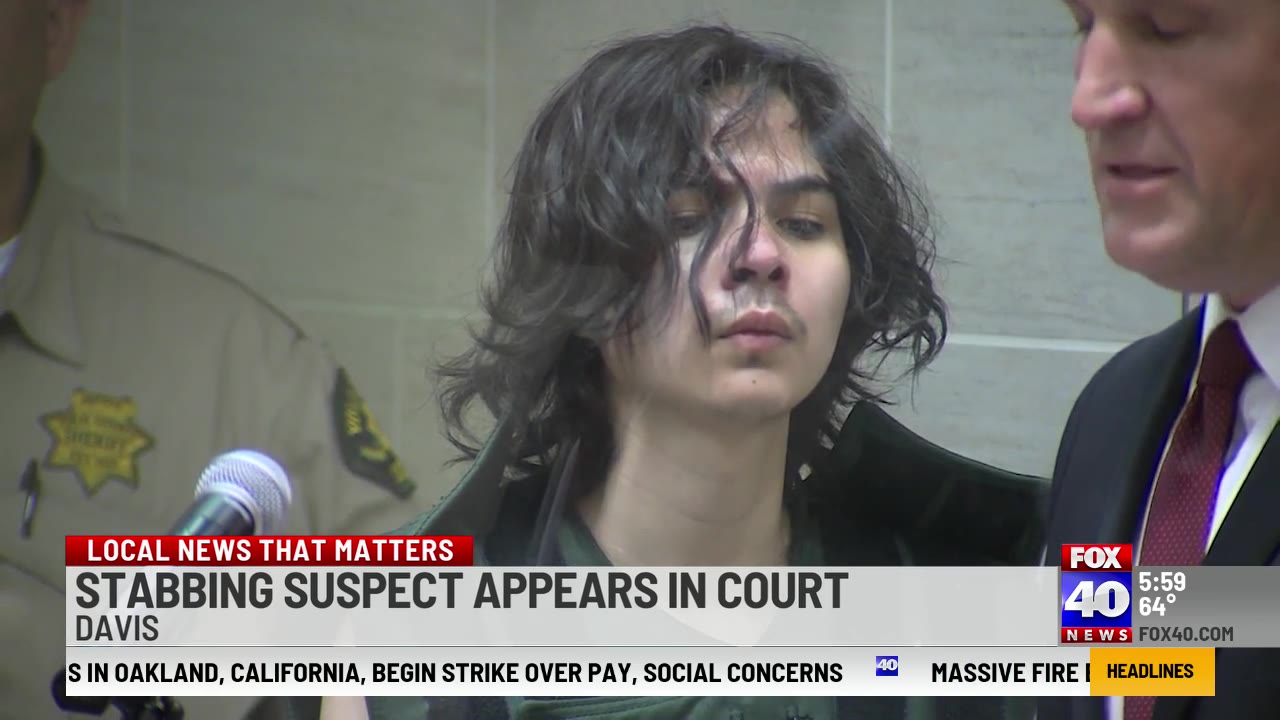 Davis stabbings suspect pleads not guilty to charges of murder ...