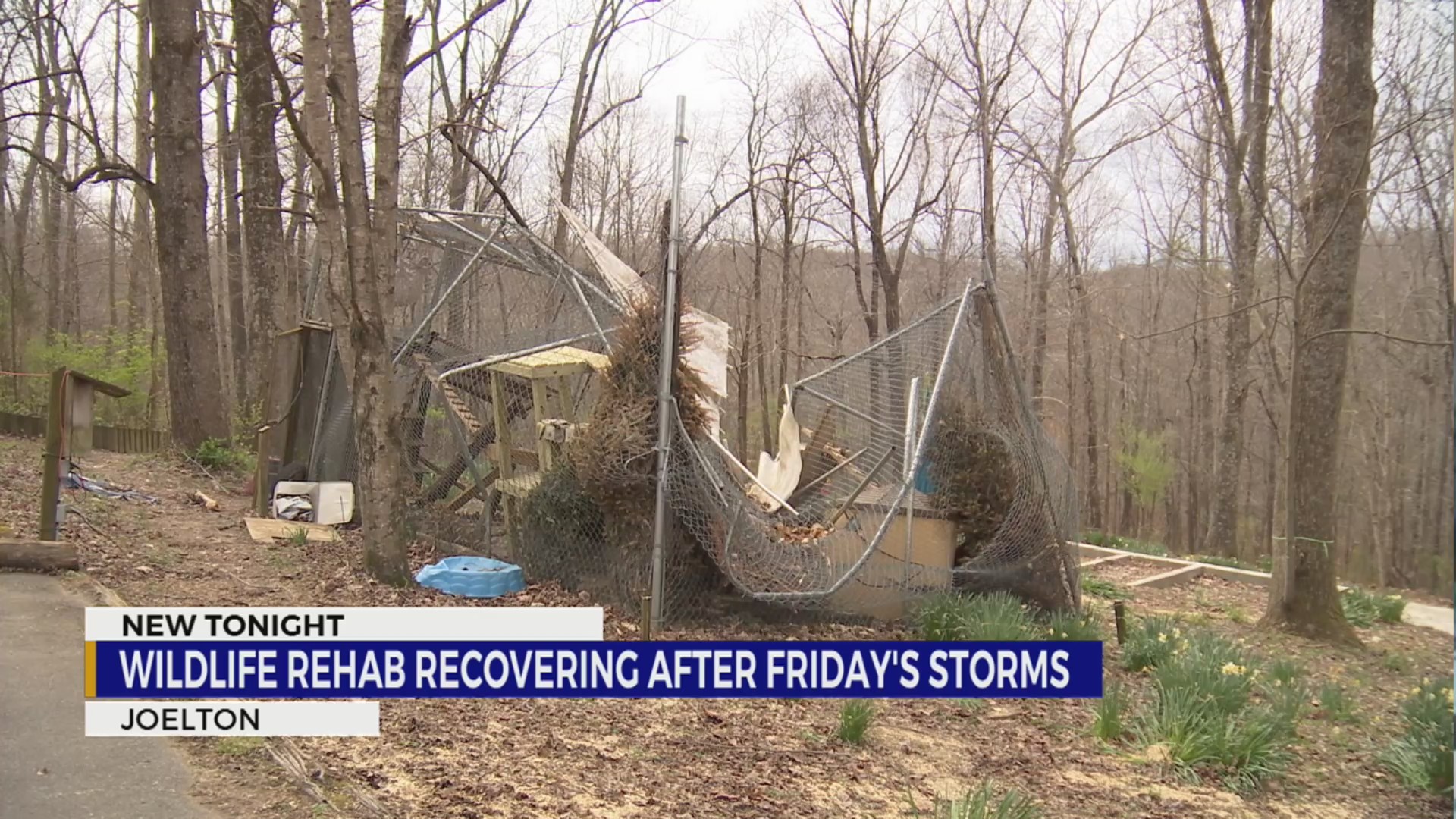 TN animal rescue suffers tens of thousands in storm damage – WKRN News 2