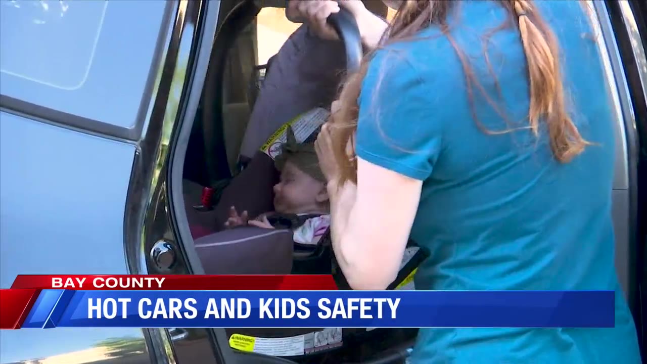 Dangers of leaving pets and kids in a hot vehicle – mypanhandle.com