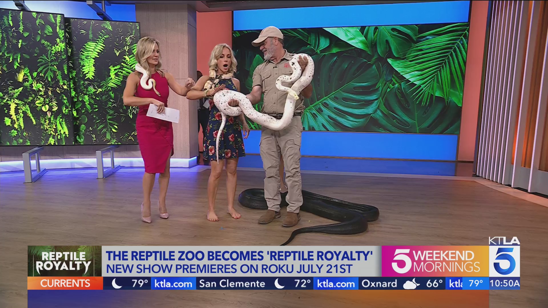 The Reptile Zoo Reptile Royalty with new show KTLA