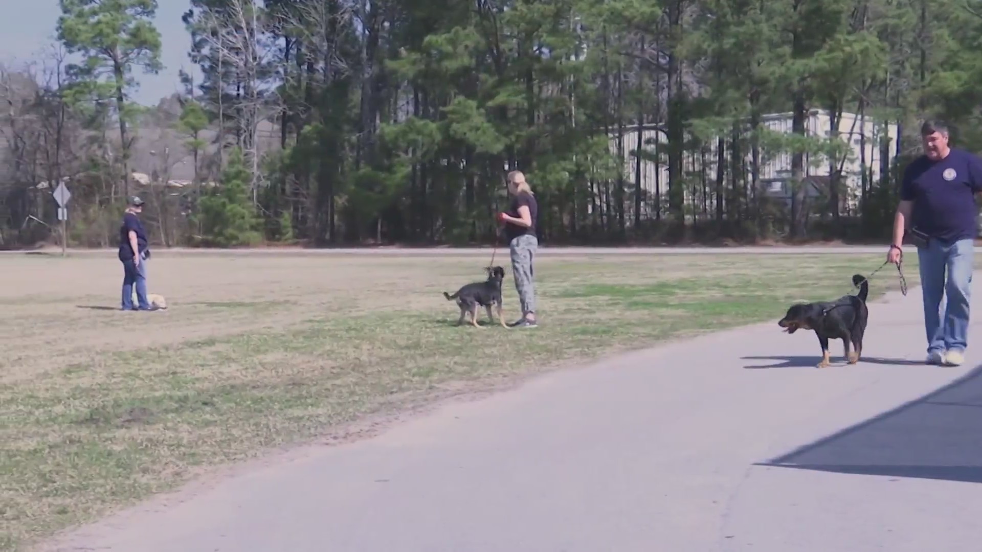 Volunteers help walk dogs on ‘National Walk Your Dog Day’ – WNCT