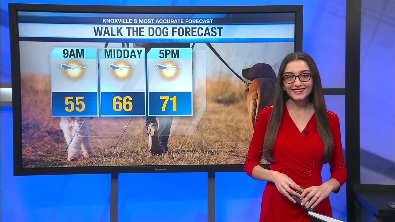 Mostly sunny and beautiful today – WATE 6 On Your Side
