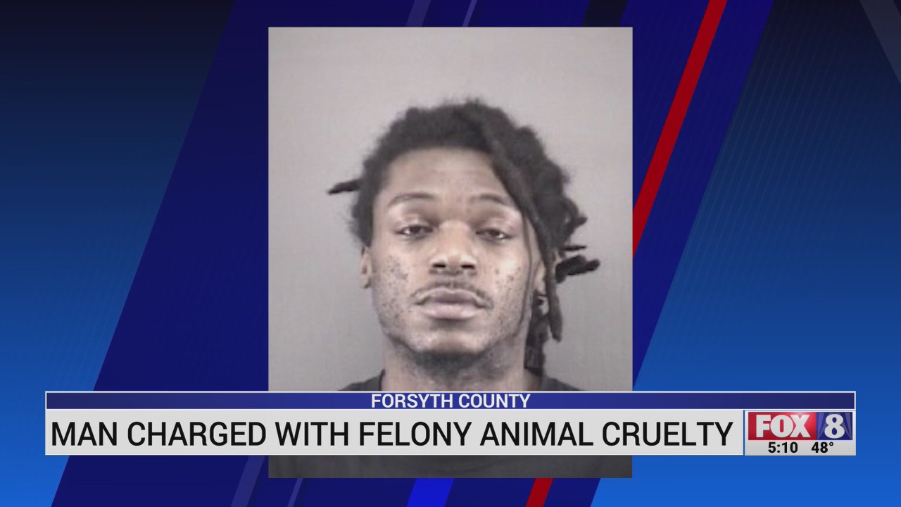 Man charged with felony animal cruelty in Forsyth County – FOX8 WGHP