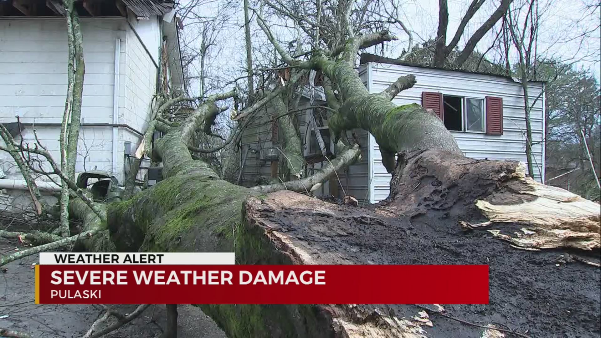 Storm damage reported in Pulaski WKRN News 2