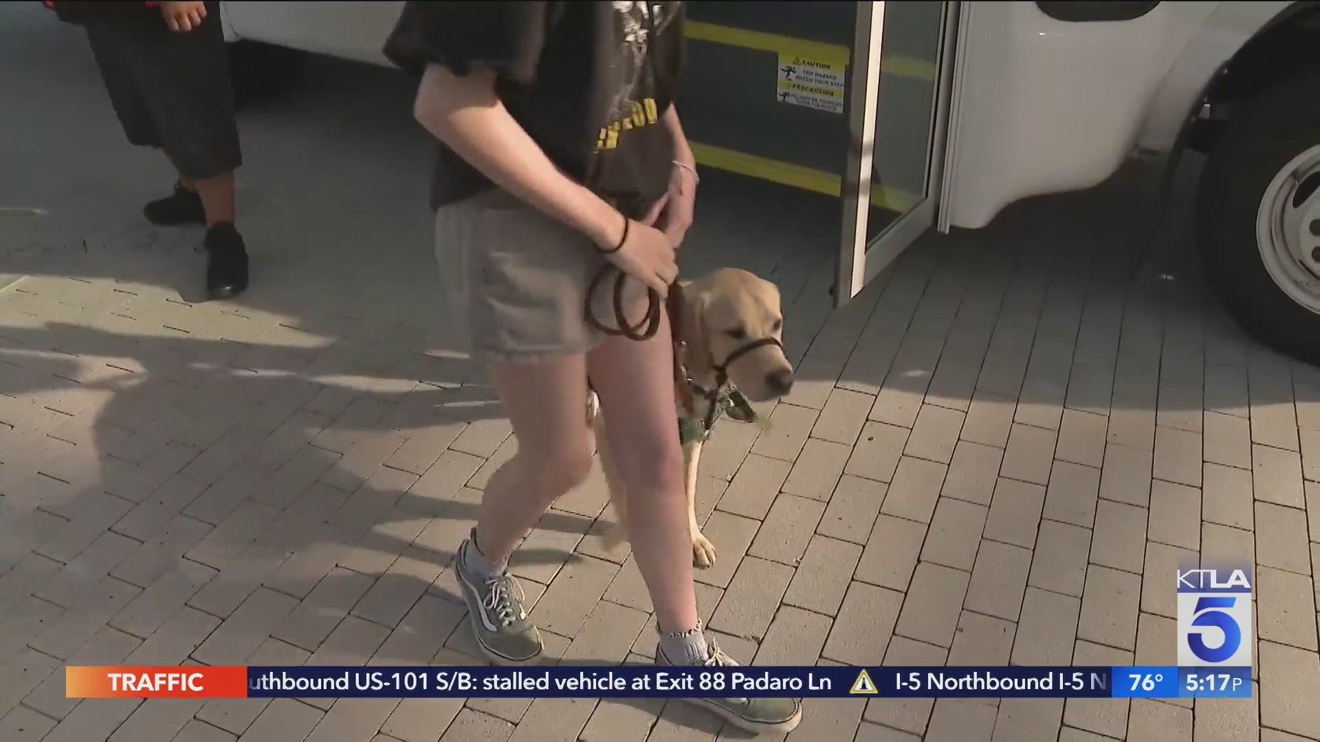 Service dogs in training take trip to Disneyland – KTLA