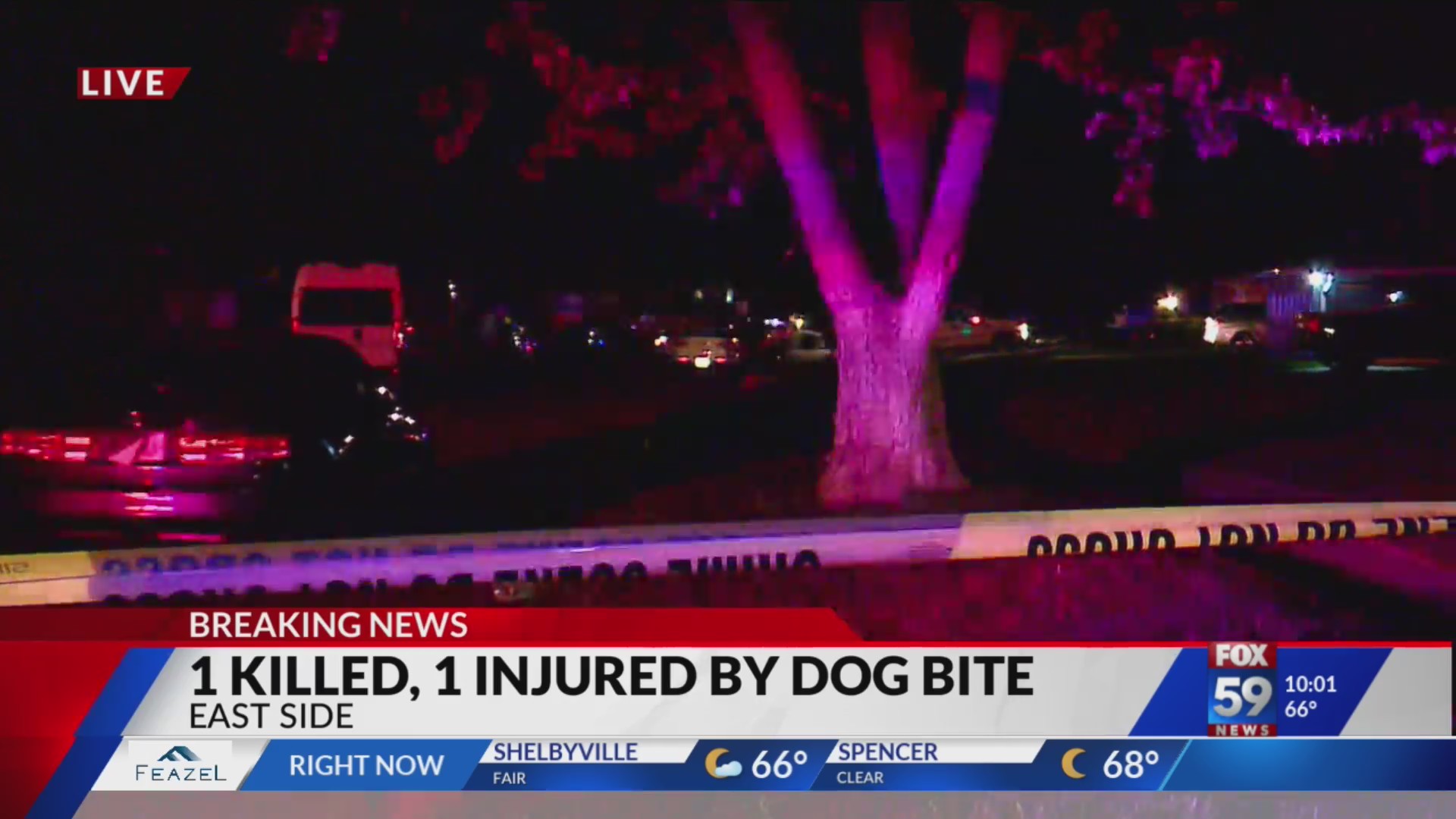 Woman killed, child bit in dog attack on Indy’s east side – WKRN News 2
