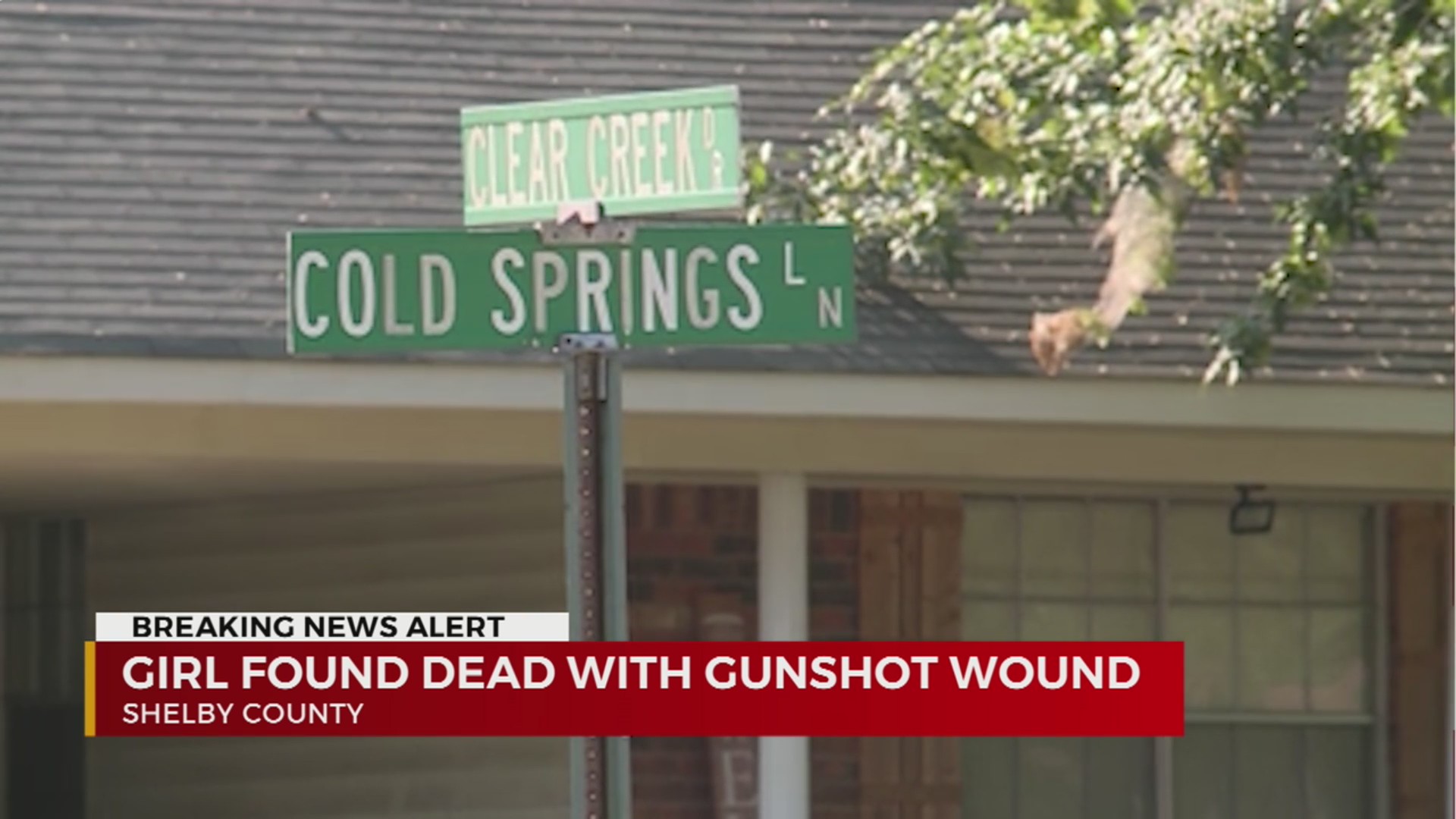 Girl found dead with gunshot wound in Shelby County – WKRN News 2