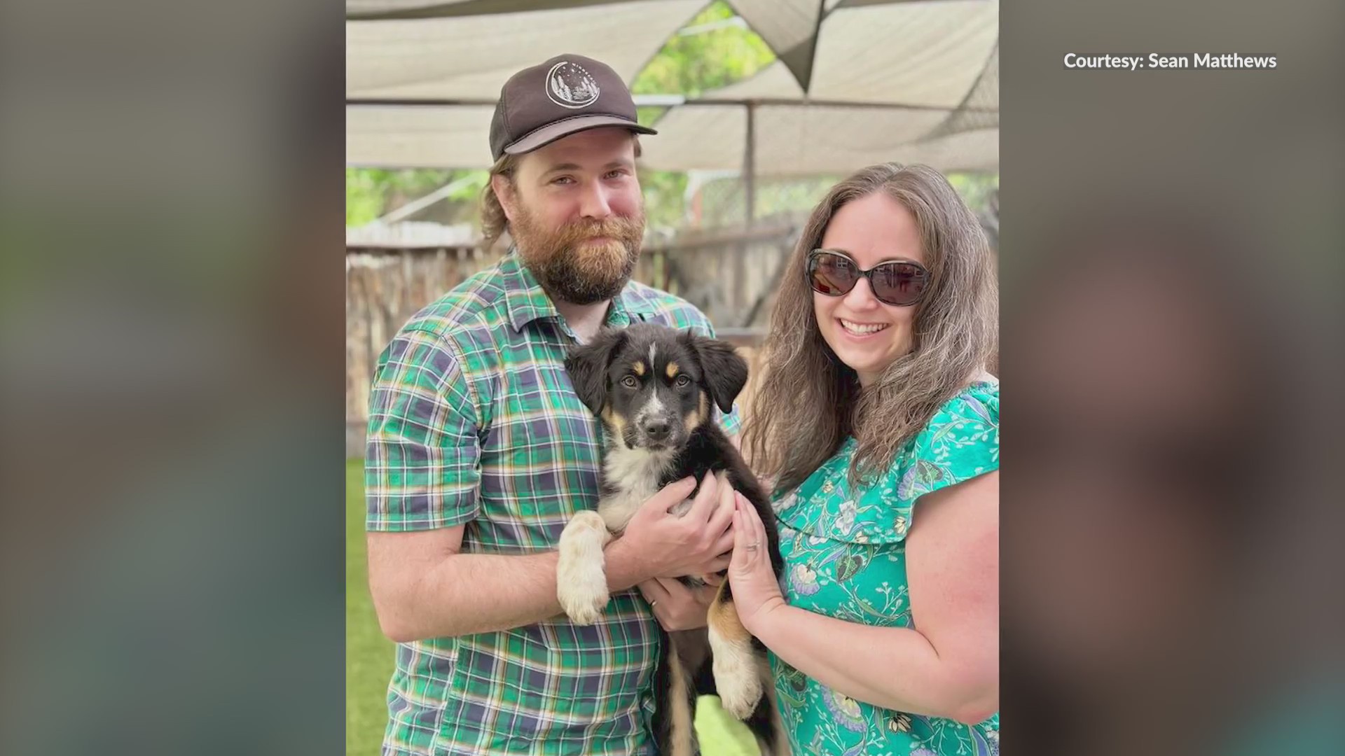 Espanola Humane is celebrating a big milestone KRQE NEWS 13