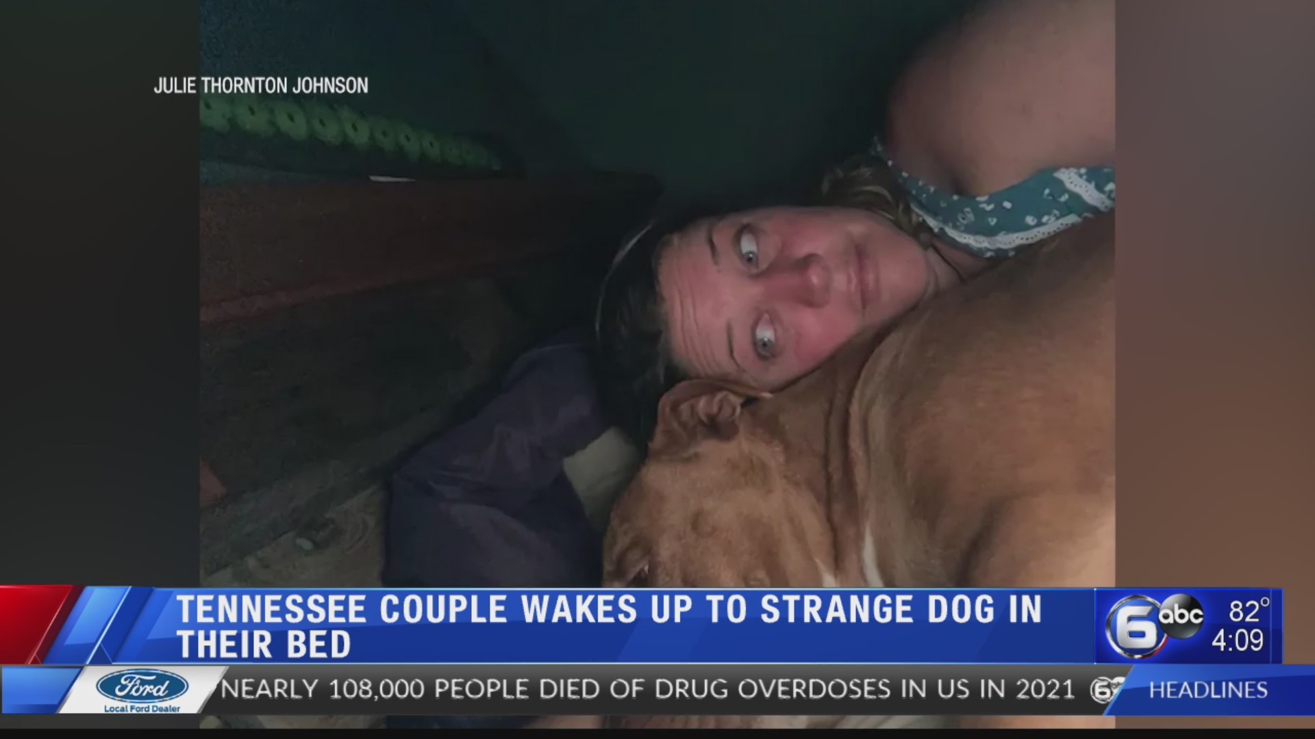 TN couple wakes up to strange dog in their bed – WATE 6 On Your Side