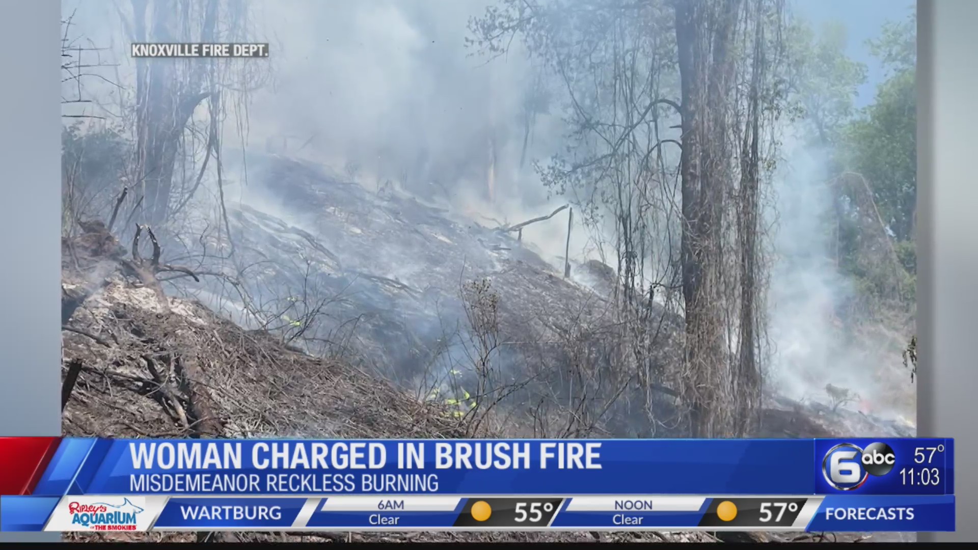 Woman charged in brush fire – WATE 6 On Your Side
