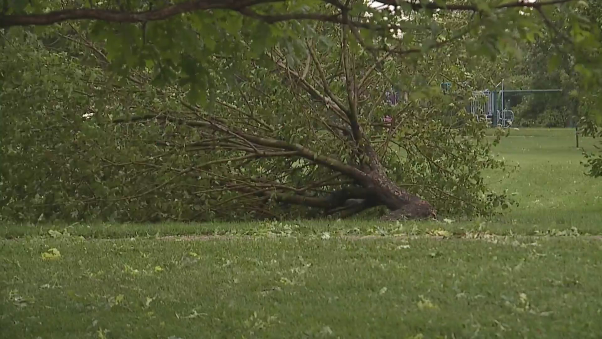 Severe thunderstorms damage Lakewood area FOX31 Denver