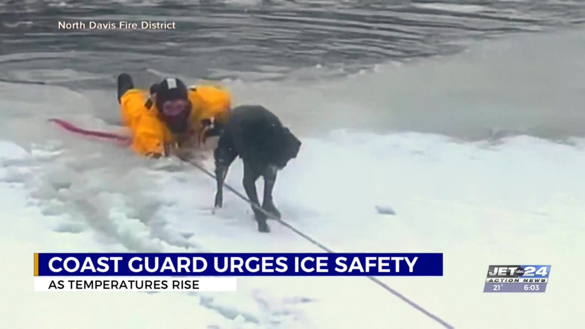 Officials warning about thin ice after dog falls through, rescued by ...
