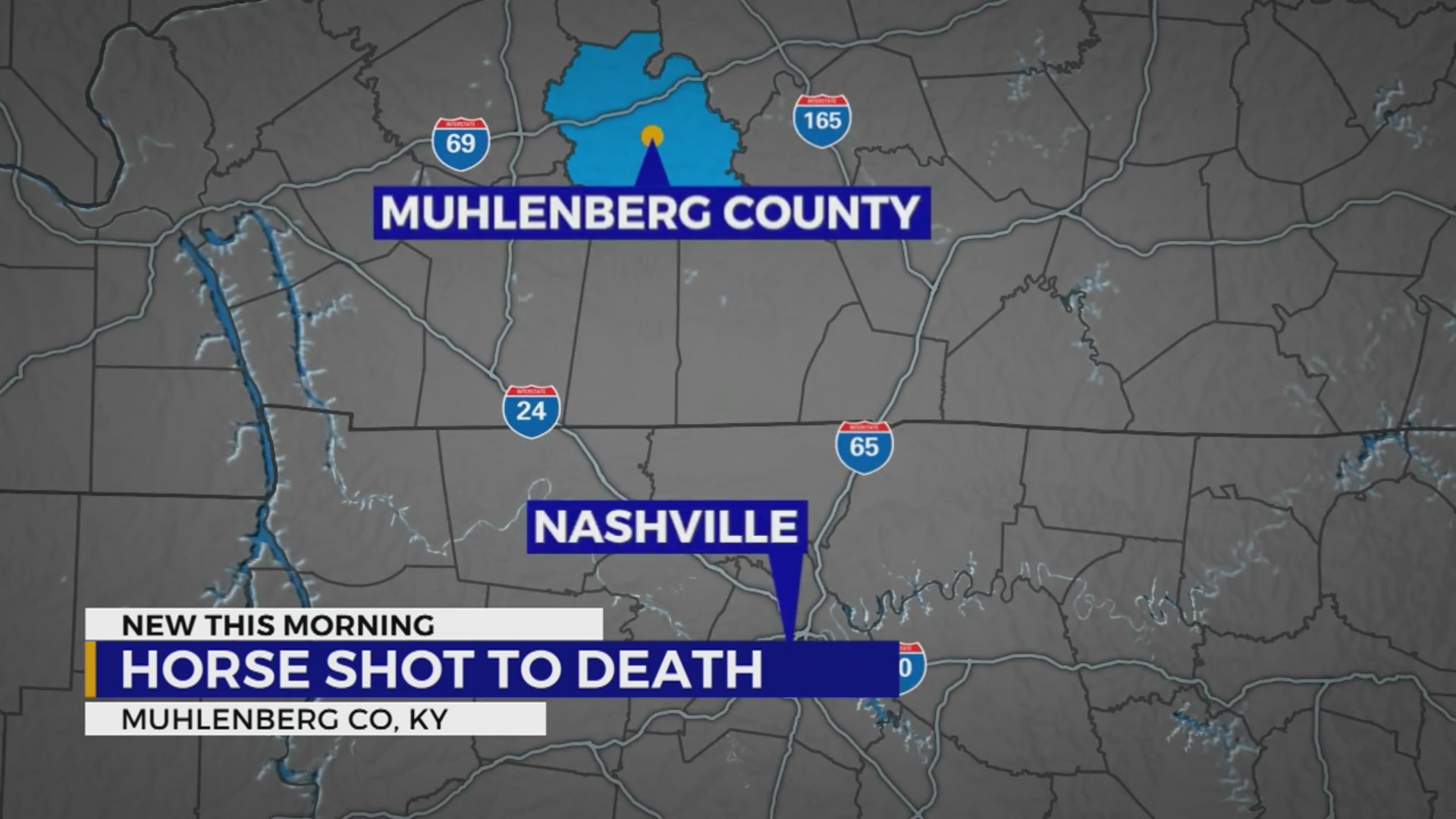 KY sheriff’s department looking for suspects in killing of horse WKRN