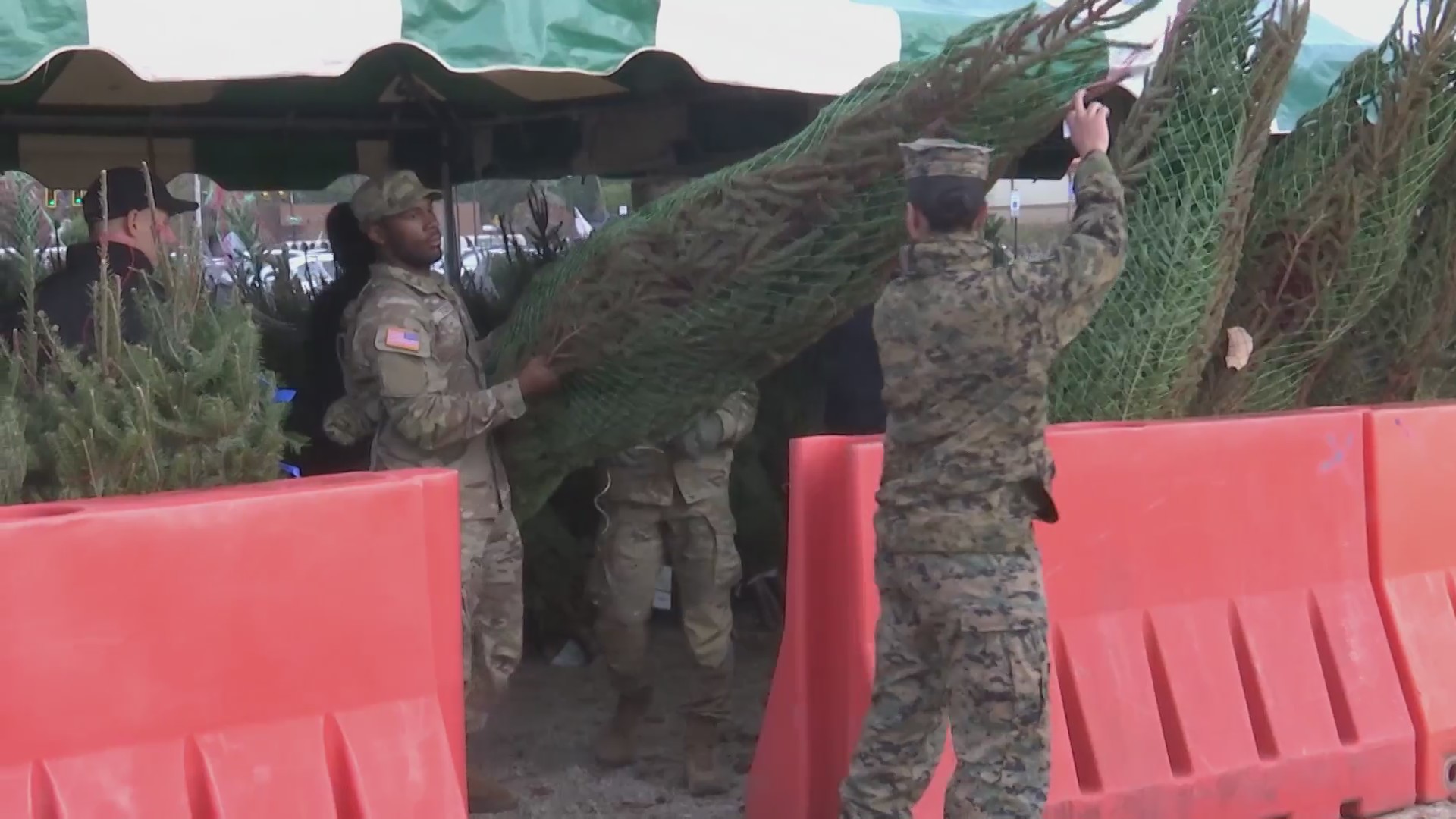 Fort Eisenhower give away Christmas trees to military members during ...