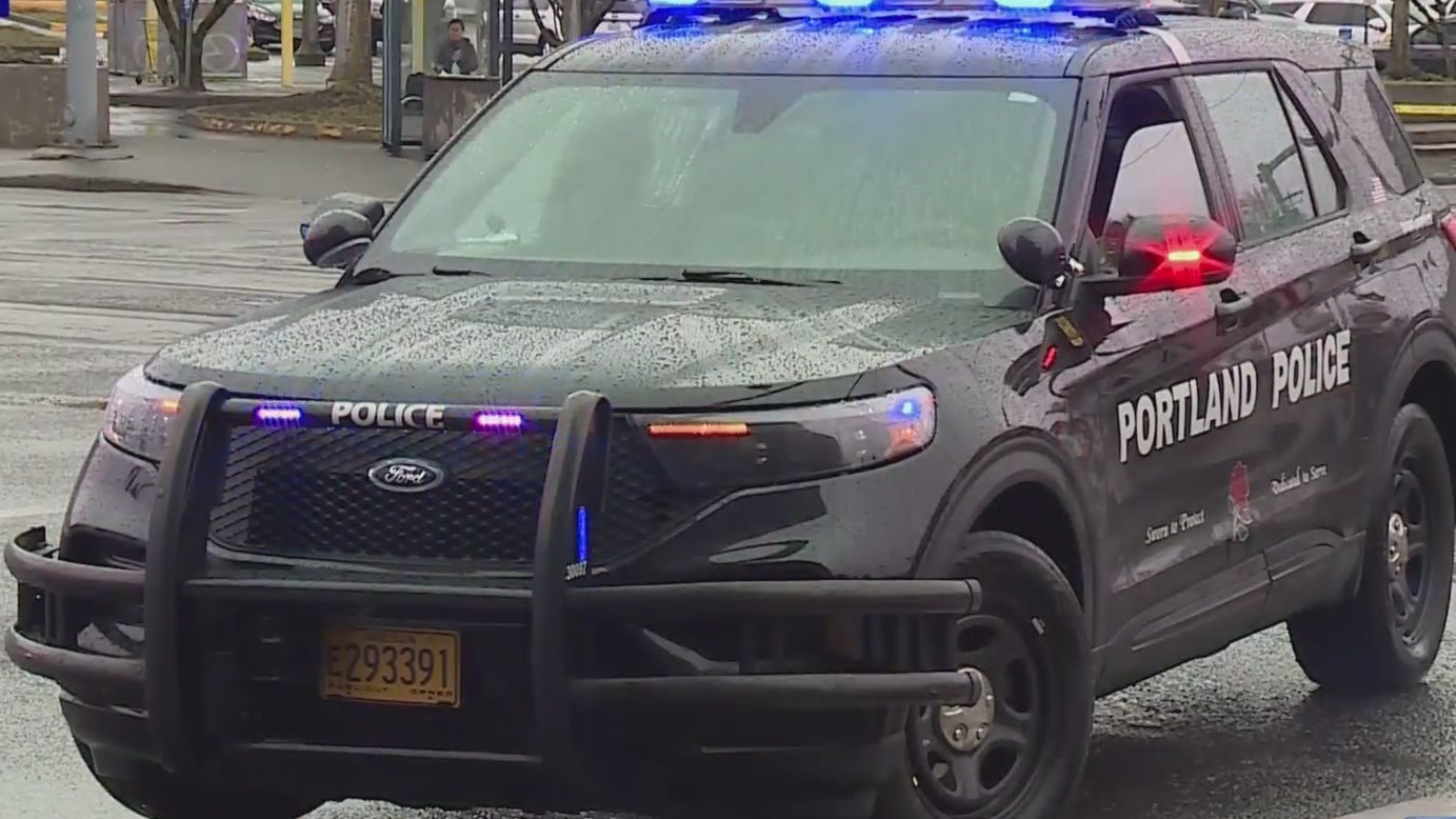 Portland man faces judge for alleged attempted murder as domestic ...