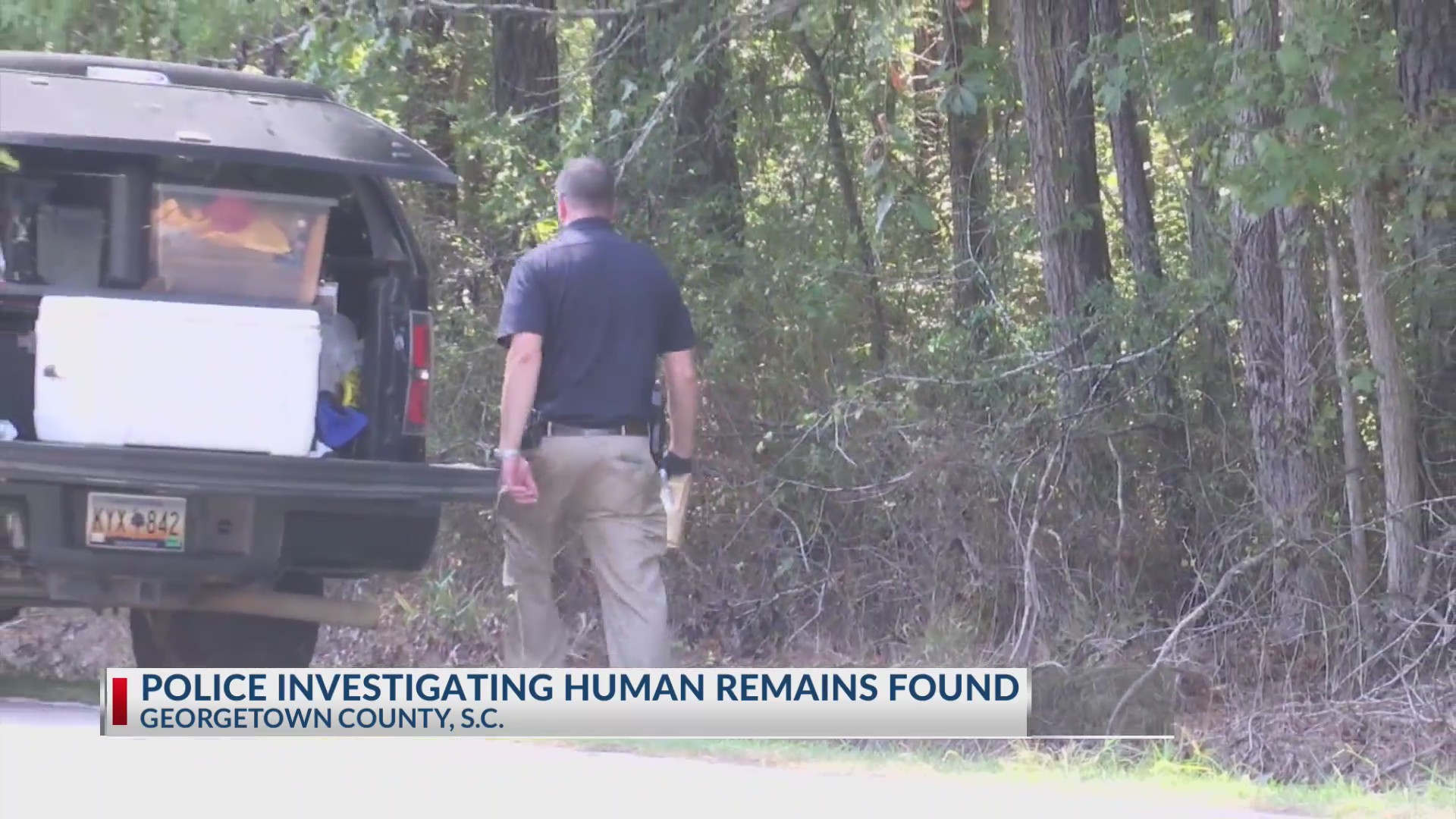 Deputies investigating discovery of human remains in Georgetown County ...
