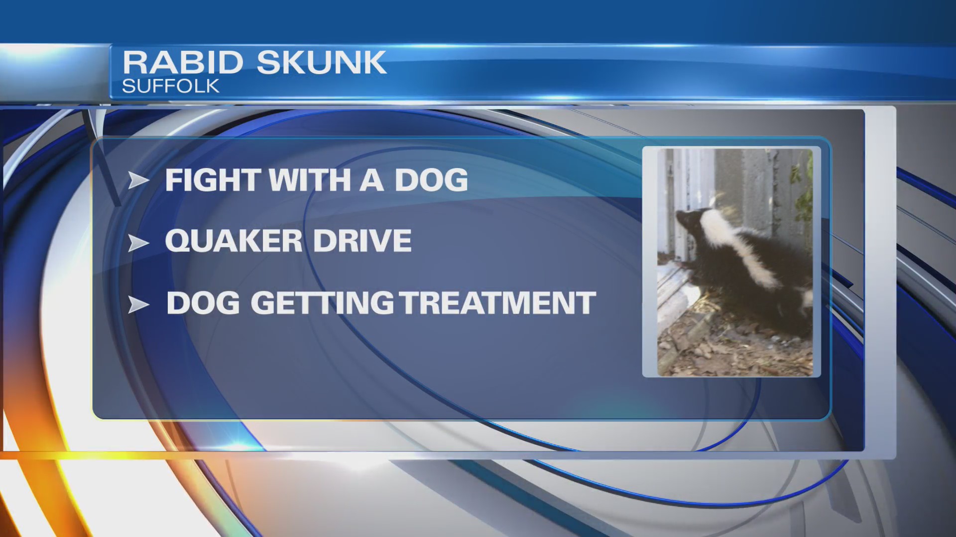 Skunk tests positive for rabies in Suffolk – WAVY.com
