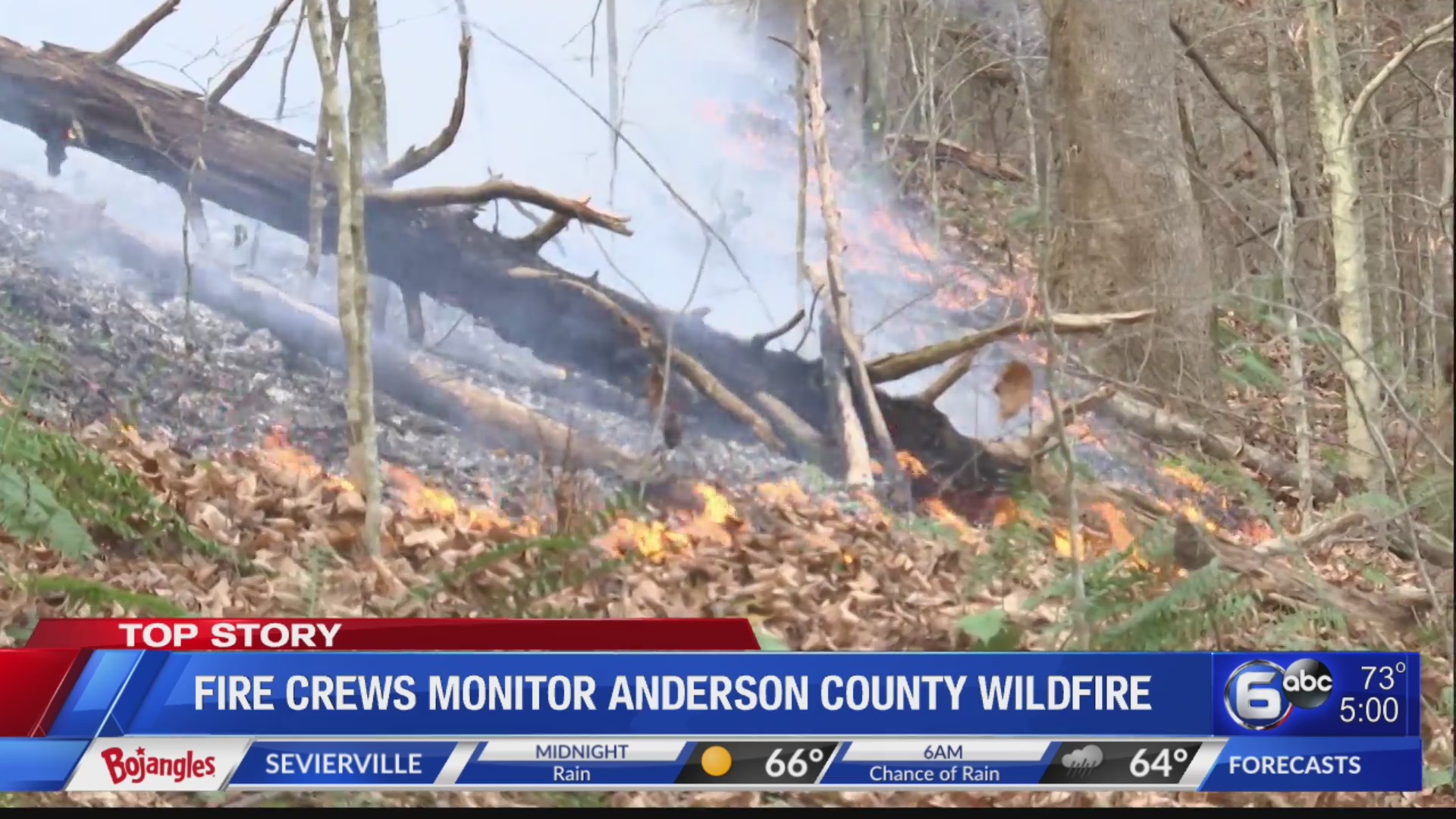 Dry and Windy conditions put East Tennessee at Fire Risk – WATE 6 On ...