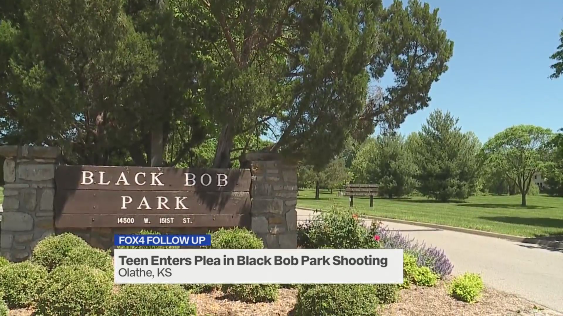 Another teen enters plea in deadly Black Bob Park shooting FOX 4