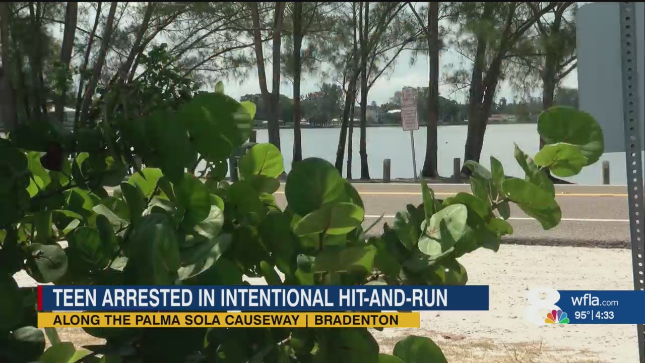 Angry teen rams man with car in Manatee County, police say – WFLA