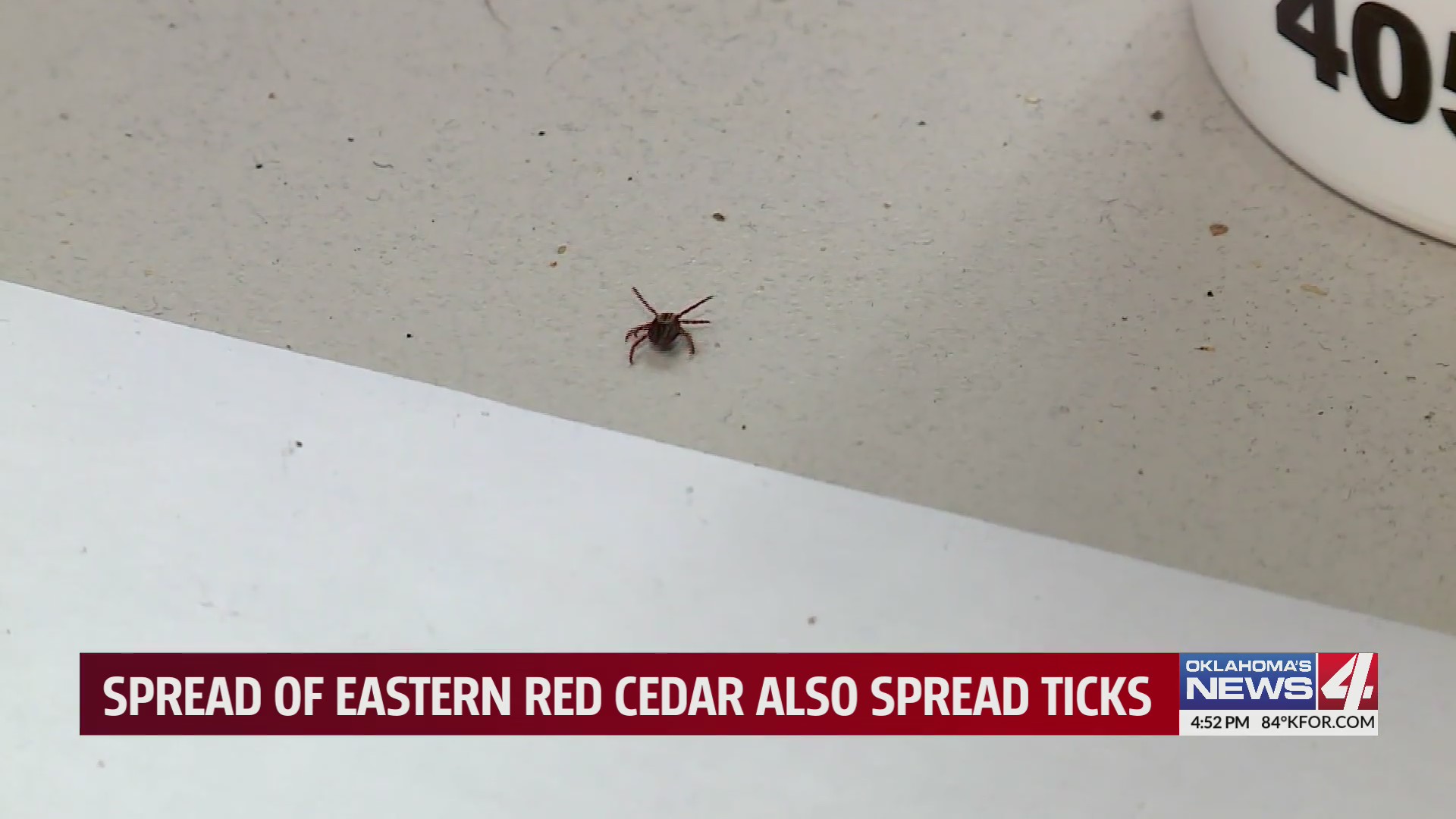 Spread of Eastern Red Cedar also spread ticks Oklahoma City