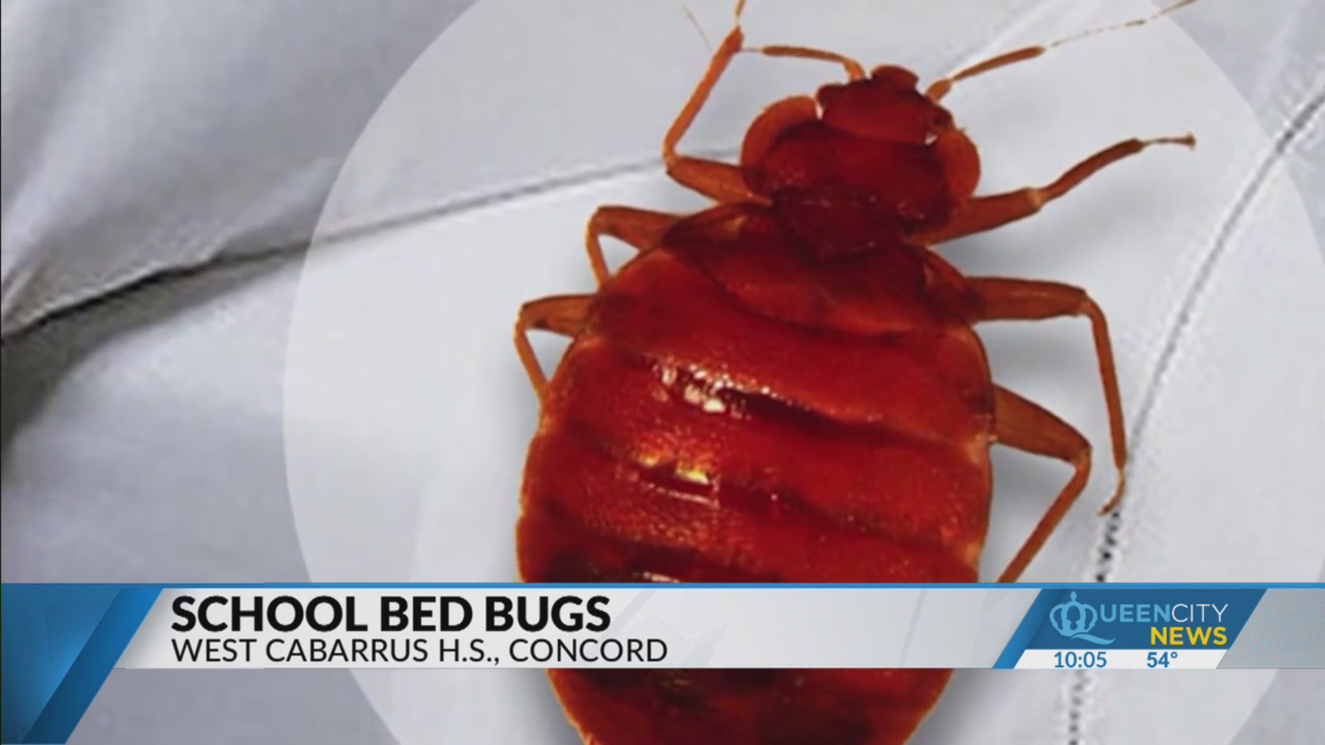Cabarrus County school treated for bed bugs – Queen City News
