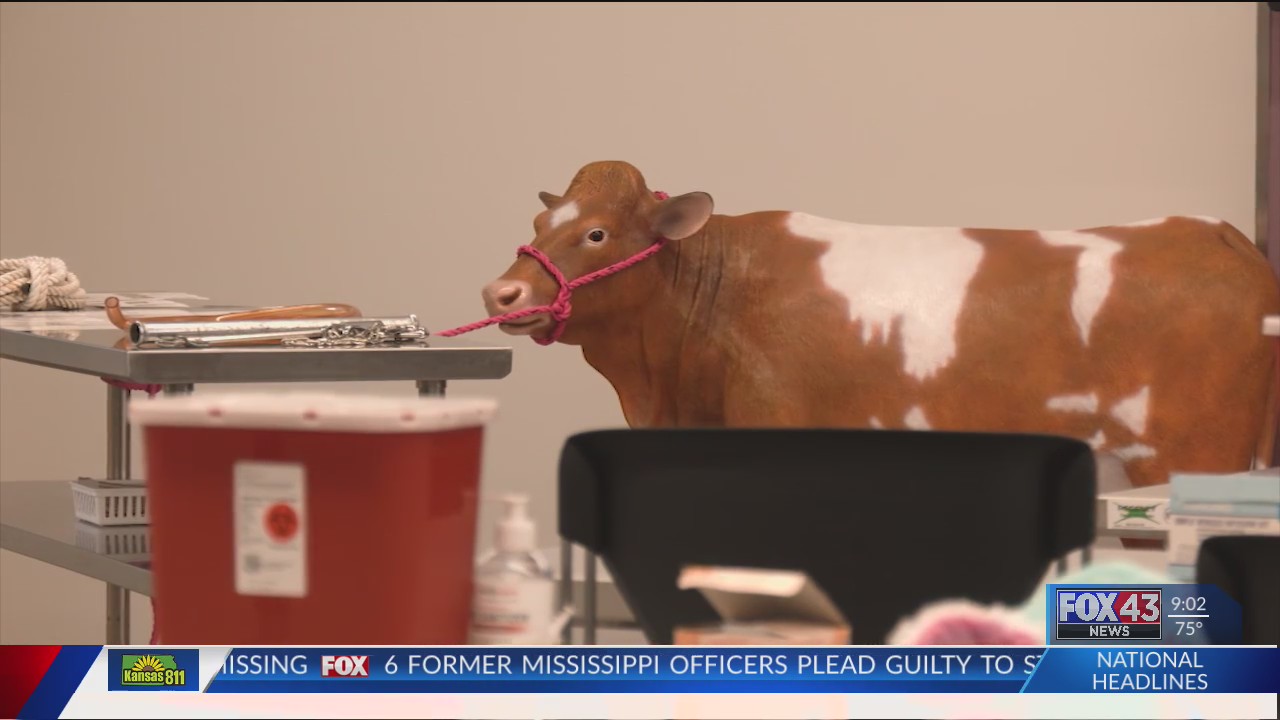 INSIDE LOOK: Infectious disease researchers training with animal models ...