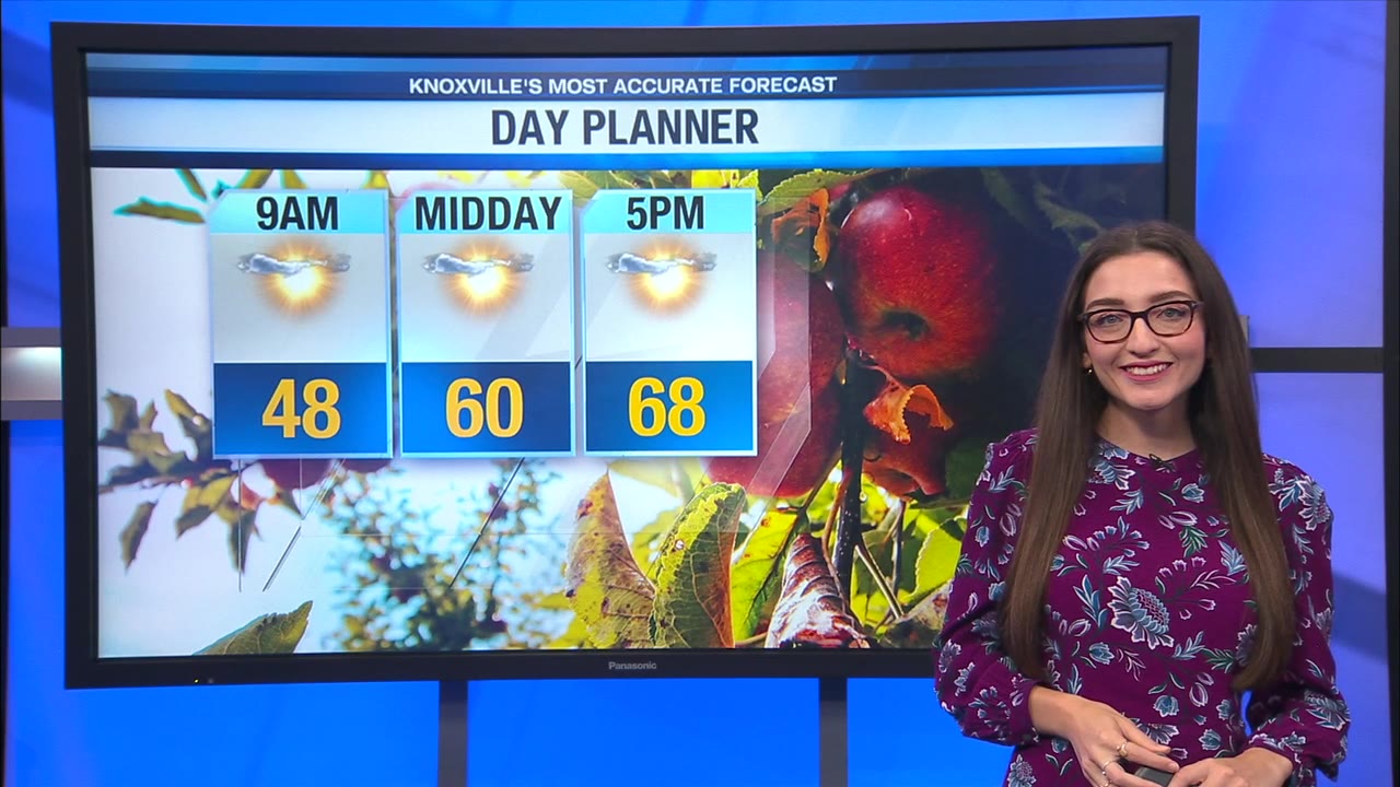 Mostly sunny and mild today – WATE 6 On Your Side
