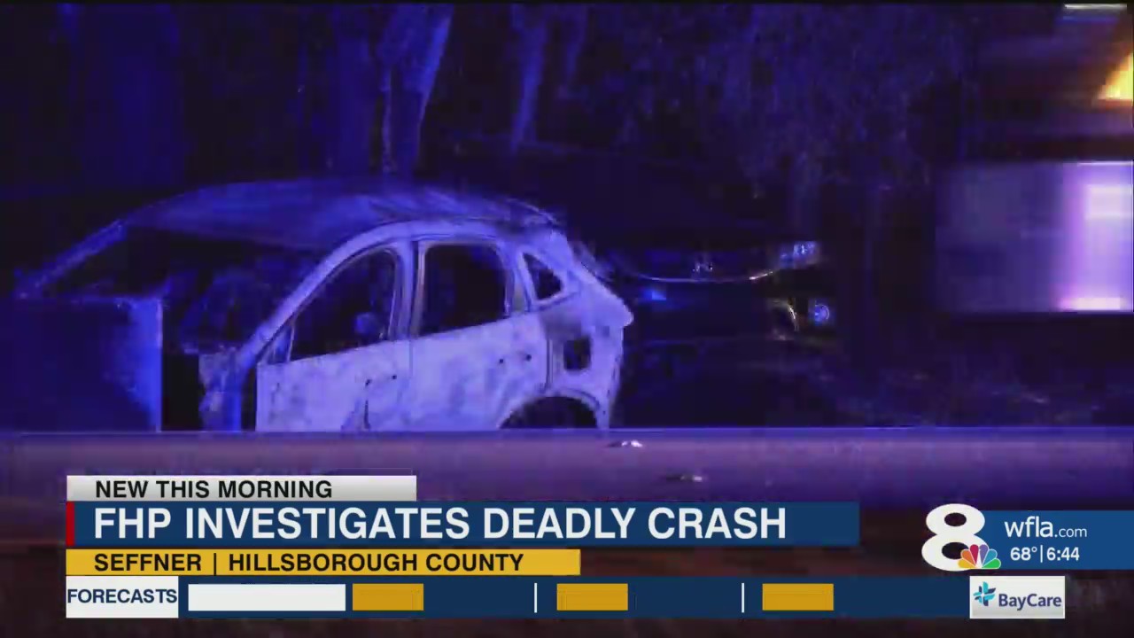 Lakeland woman dies after car bursts into flames following crash – WFLA