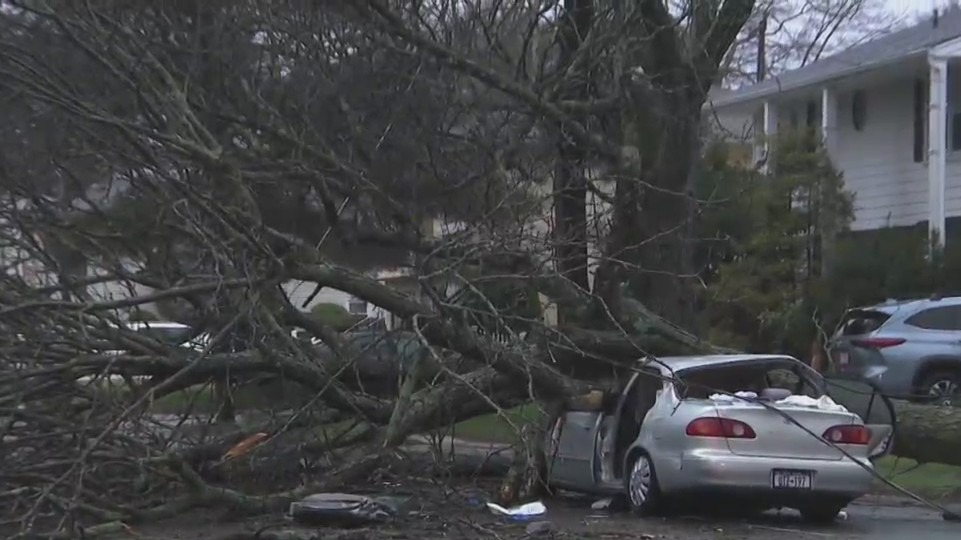 Driver injured when car smashes into tree during storm on Long Island ...