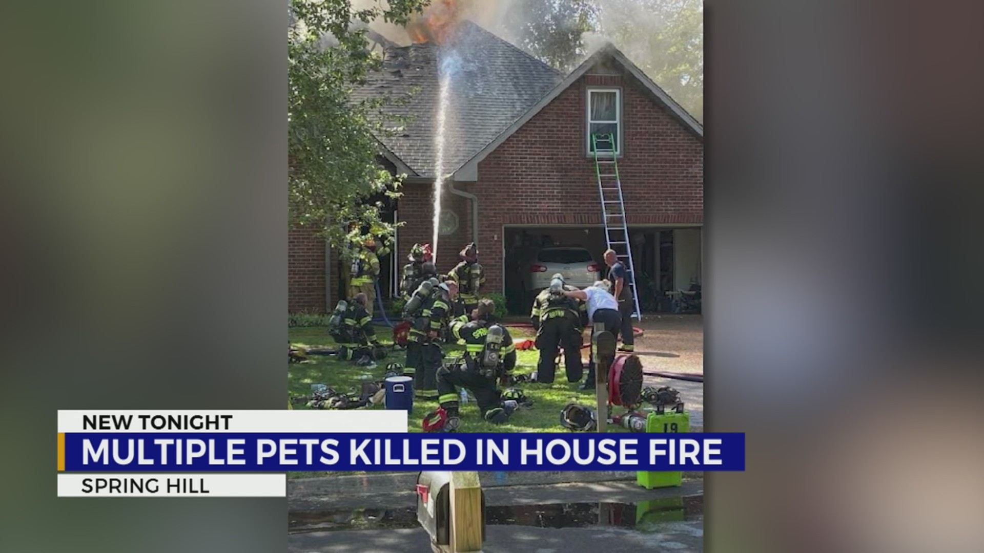 Multiple pets killed in Spring Hill house fire – WKRN News 2